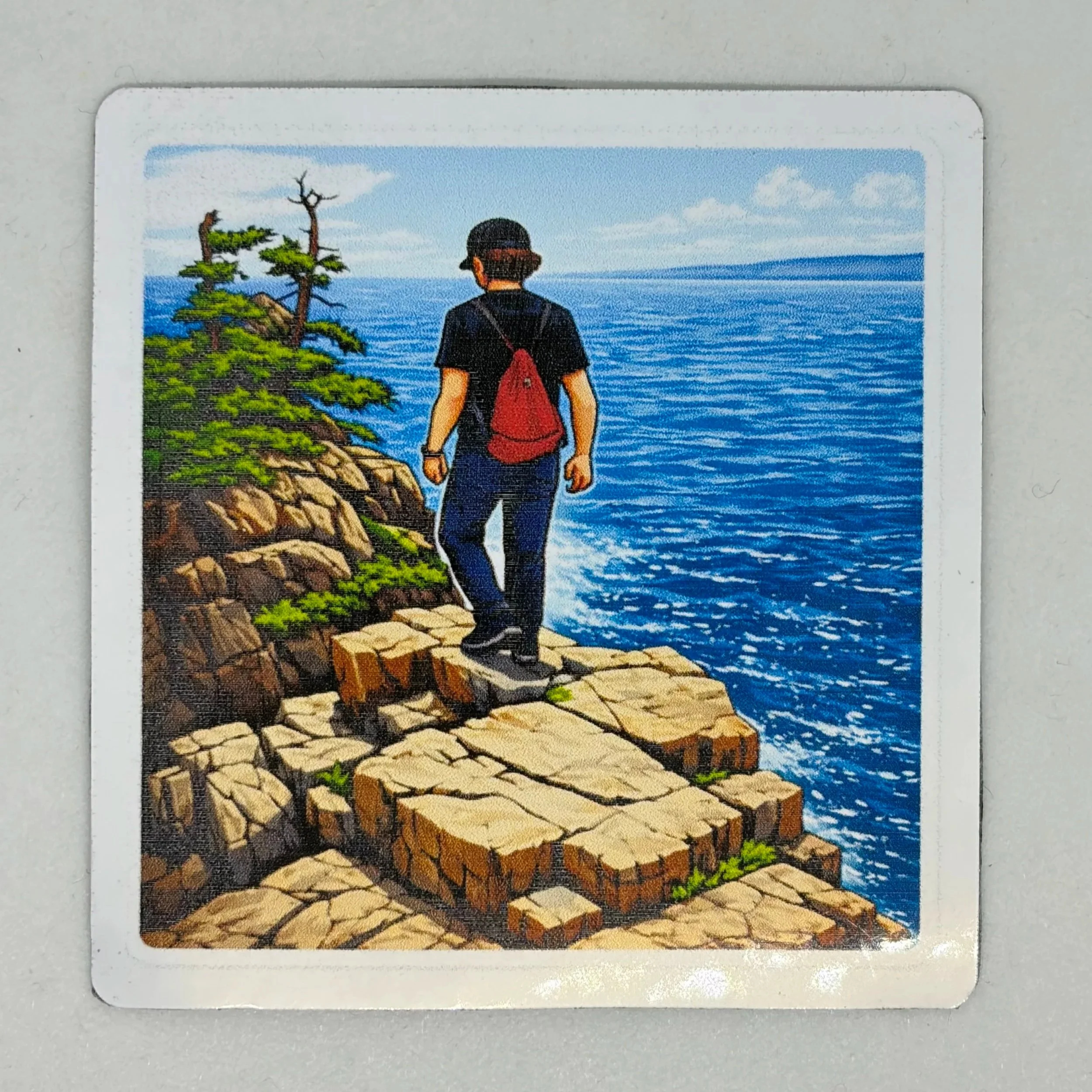 Magnet - Dwight in Acadia
