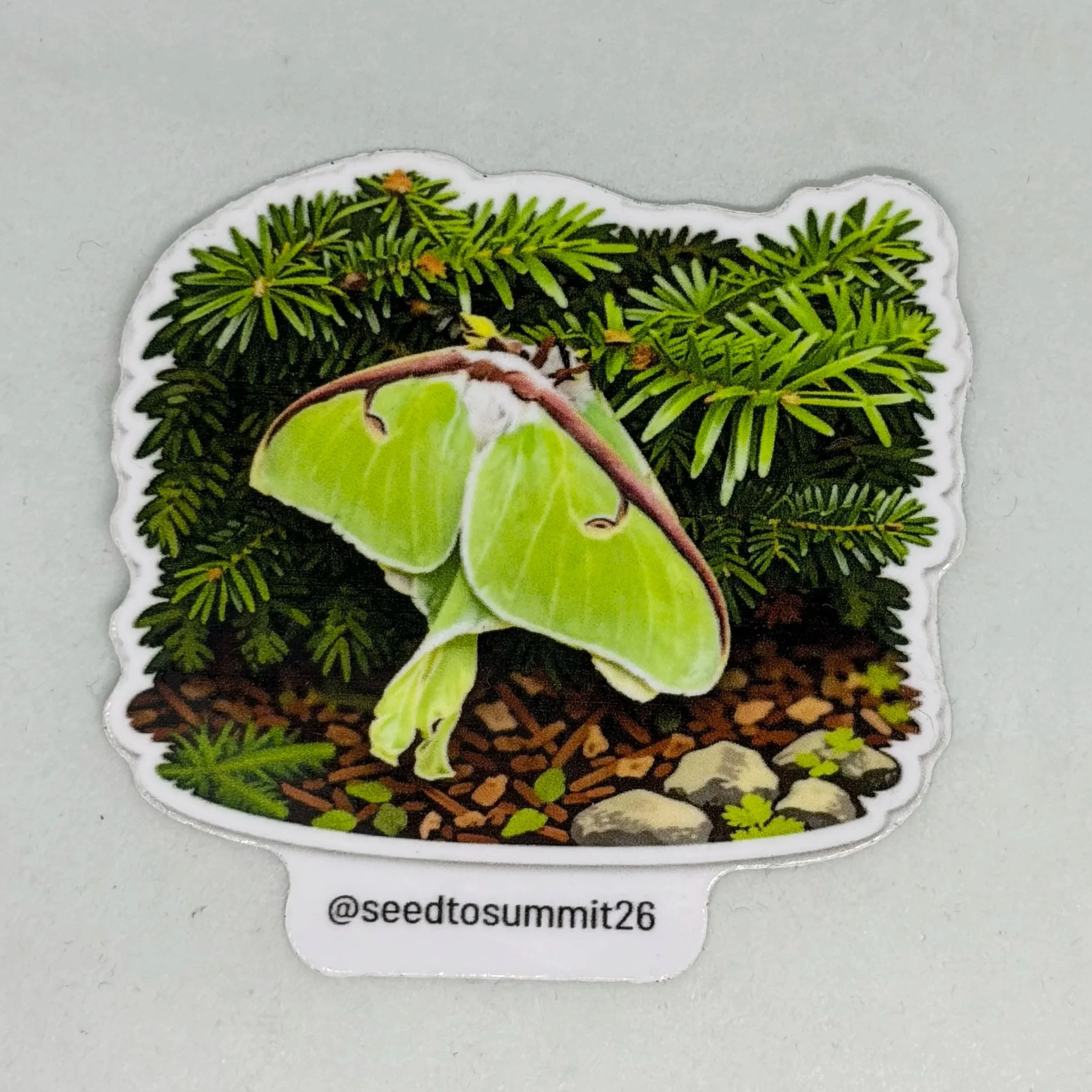 Sticker - Luna Moth