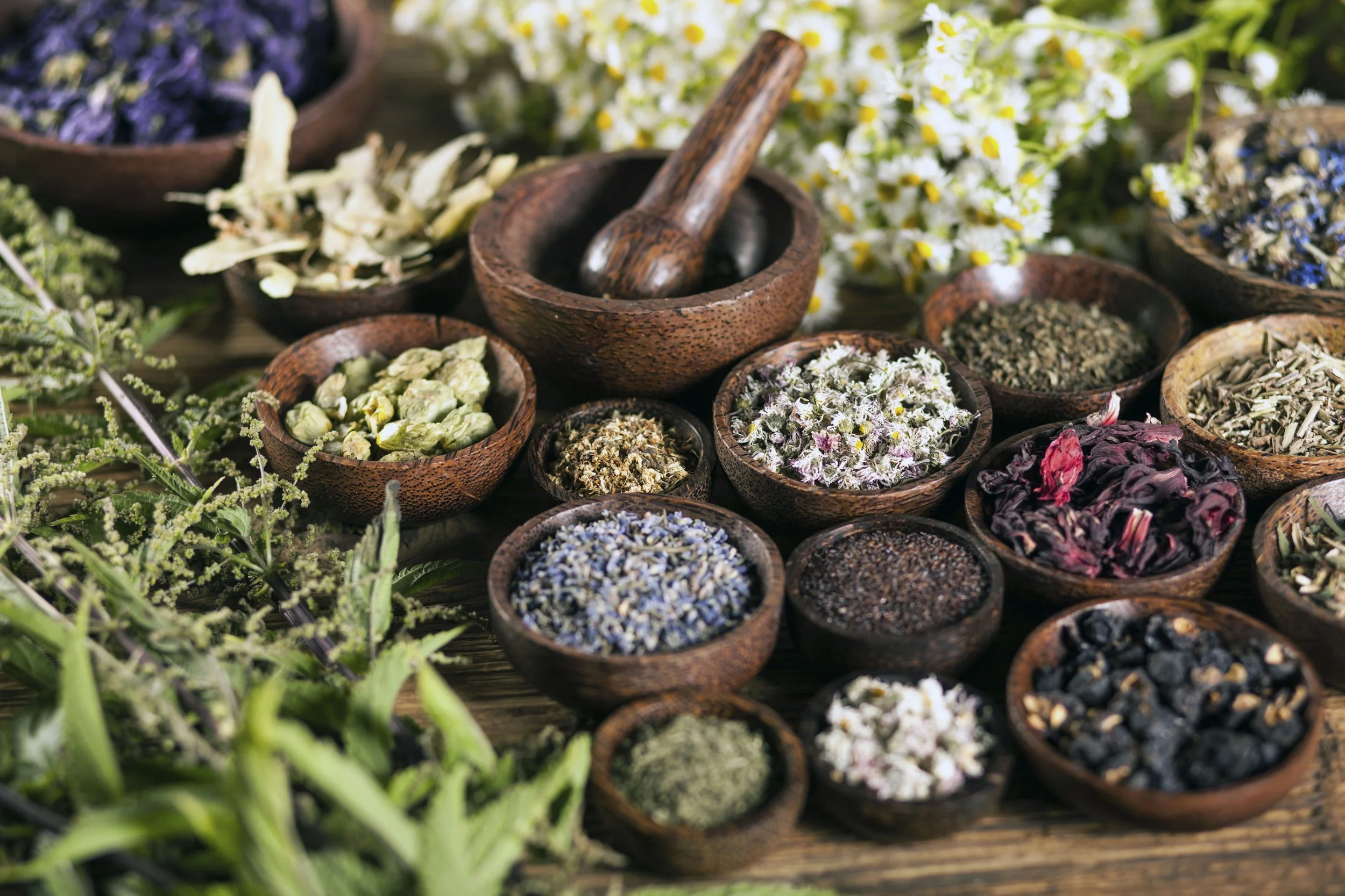 Various dried herbs, flowers, and plants intended for herbal medicines next to a well oiled wooden mortar & pestle.