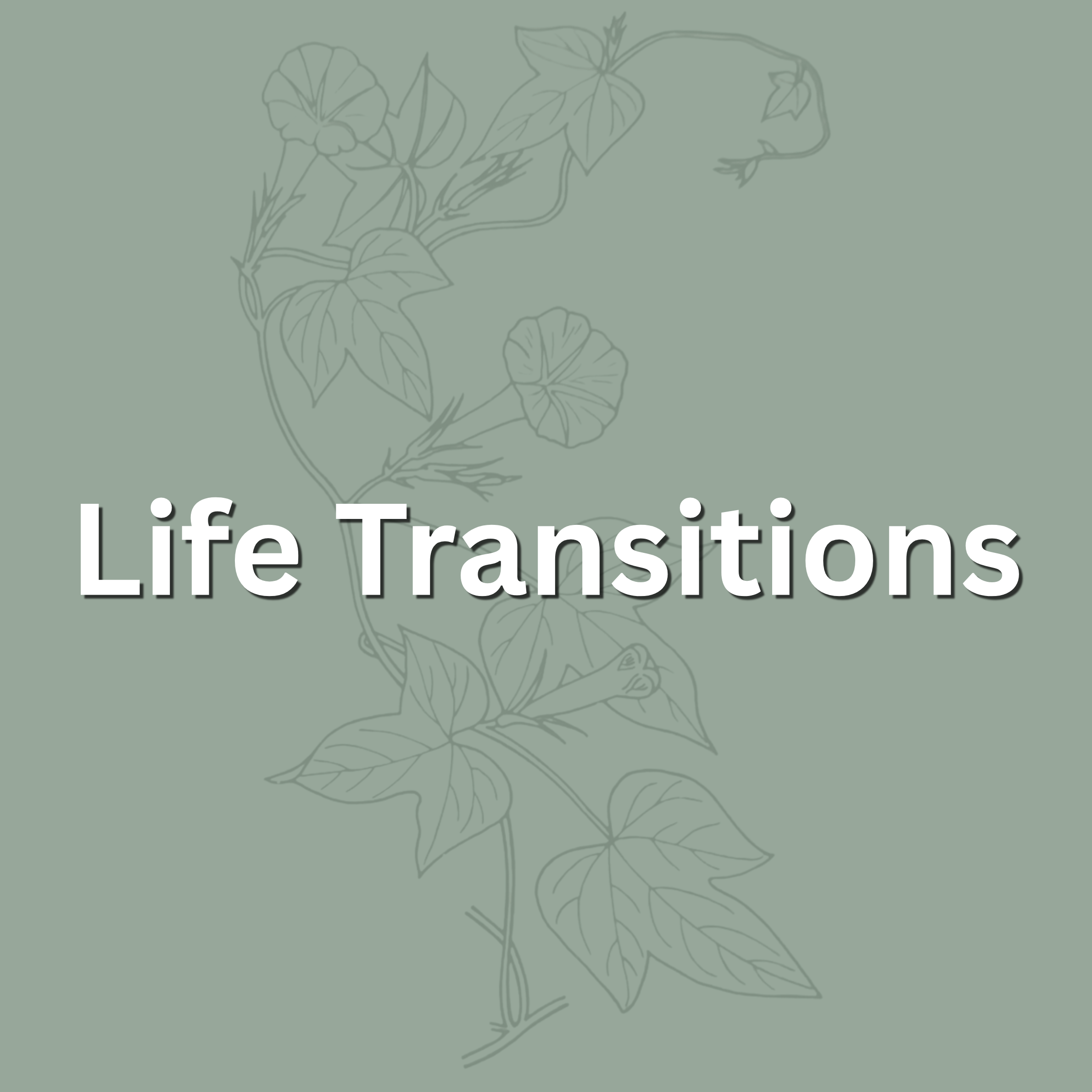 Text stating 'Life Transitions' on a background with a faint outline of a flower and leaves.