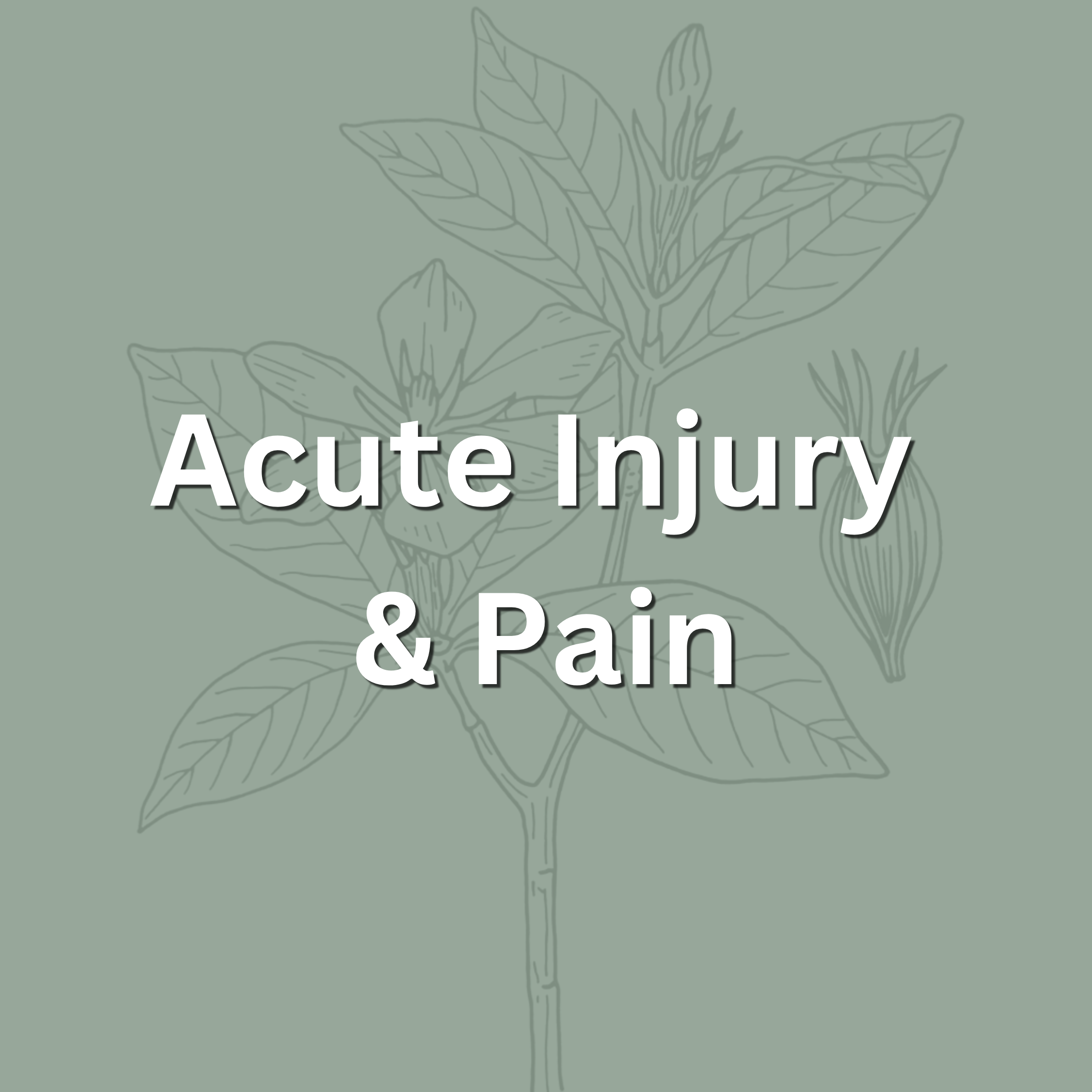 Text stating 'Acute Injury & Pain' on a background with a faint outline of a flower and leaves.