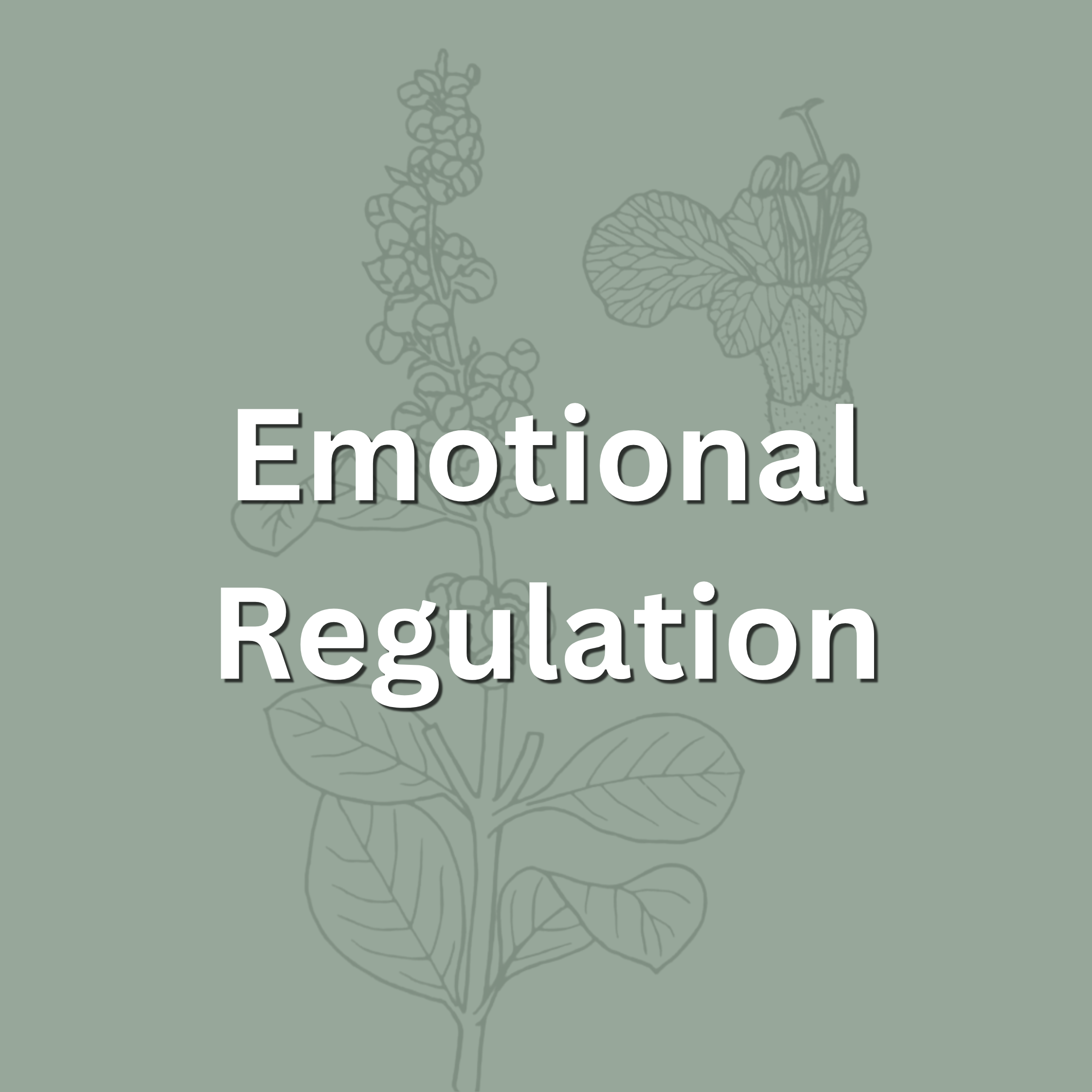Text stating 'Emotional Regulation' on a background with a faint outline of a flower and leaves.