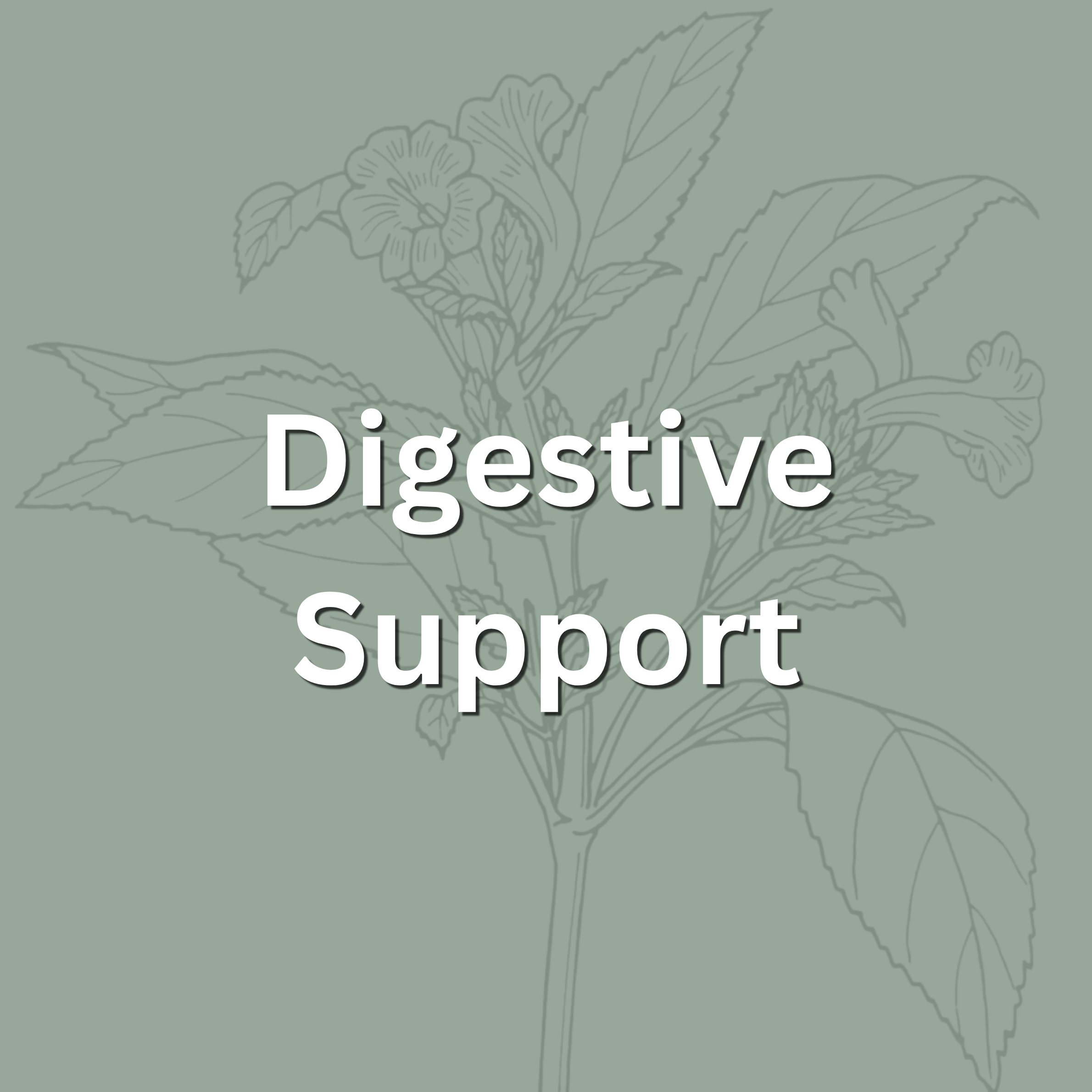 Text stating 'Digestive Support' on a background with a faint outline of a flower and leaves.