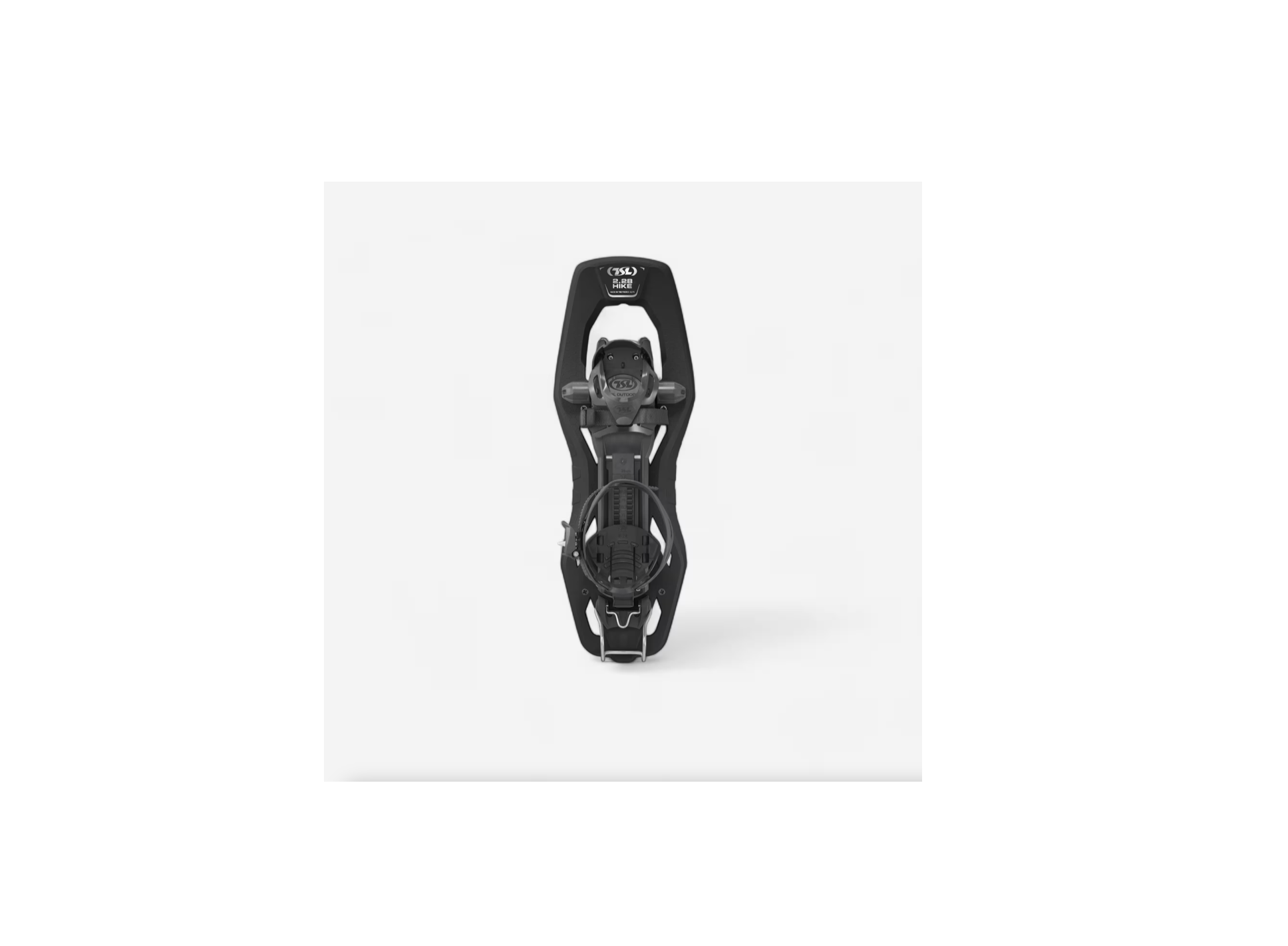 Snowshoe