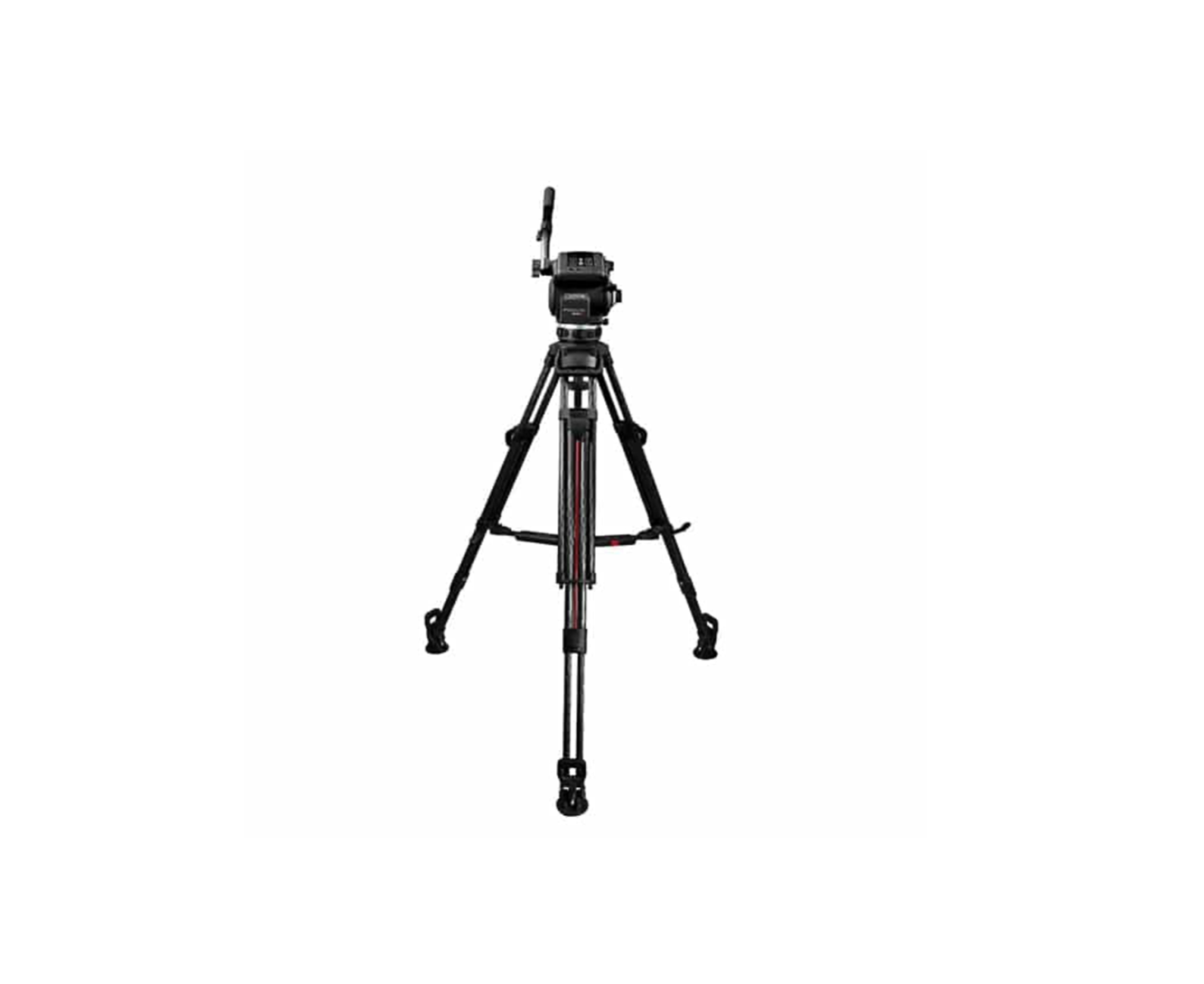 Cartoni Focus 22 SDS.png