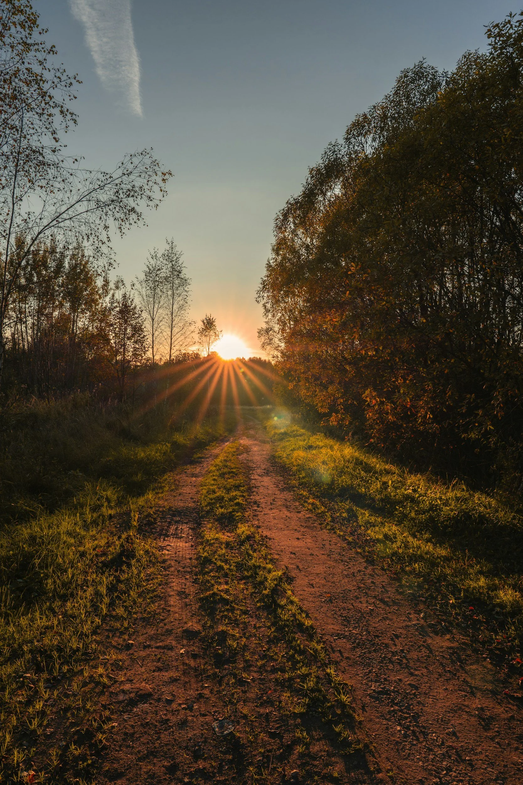 A dirt path leading through a grassy and wooded area during sunset with rays of sunlight visible on the horizon.