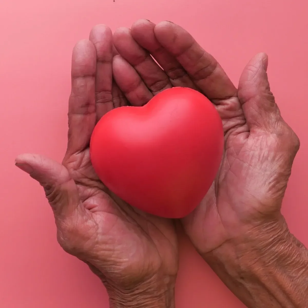 Elderly hands gently holding a red heart-shaped object against a pink background.