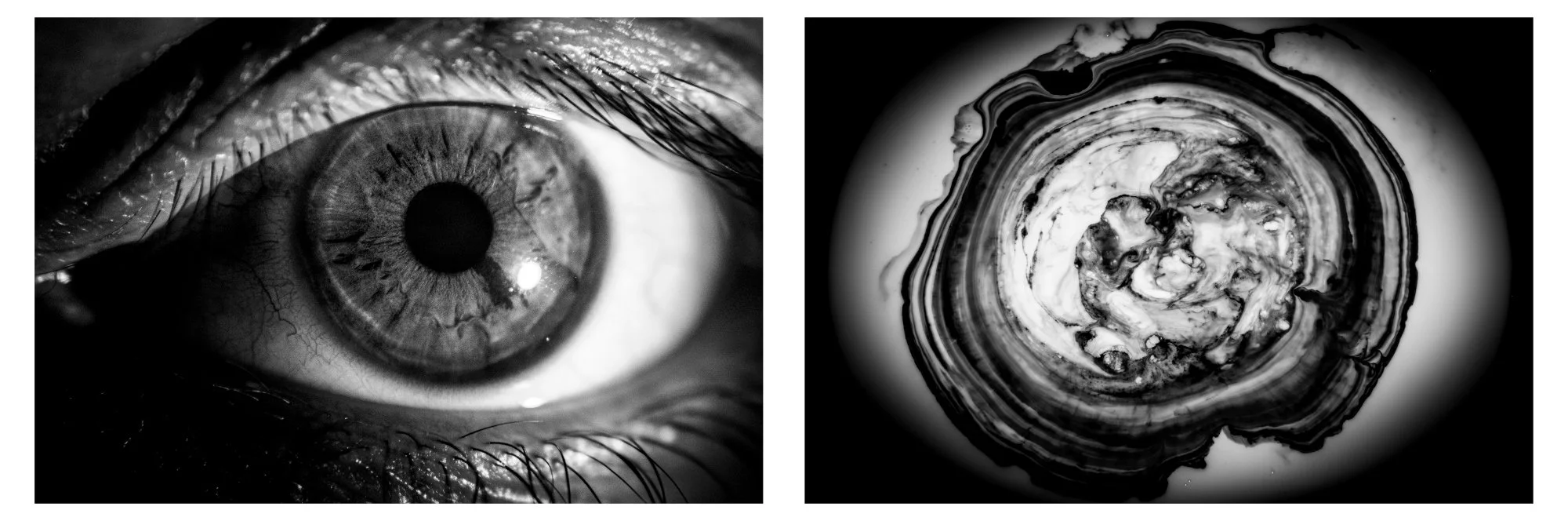 Eye Diptych 2024