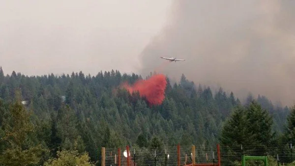 An airplane flying over a forest fire with thick smoke and flames visible in the trees.