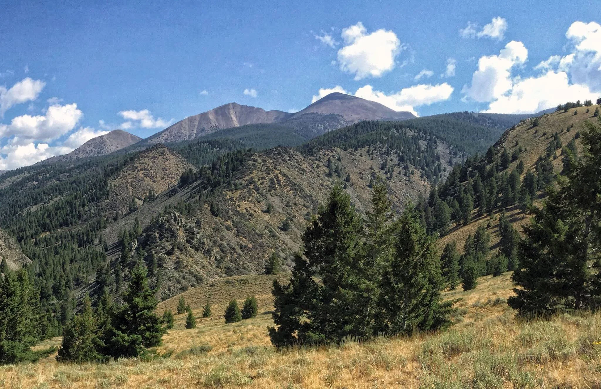 Scenic mountain landscape with rolling hills, dense green forest, and a blue sky with scattered clouds.