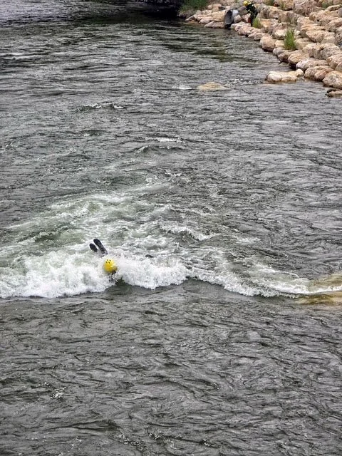 A small yellow rubber duck floating in a river with a splash of water, and a pair of black and white ears visible behind it.