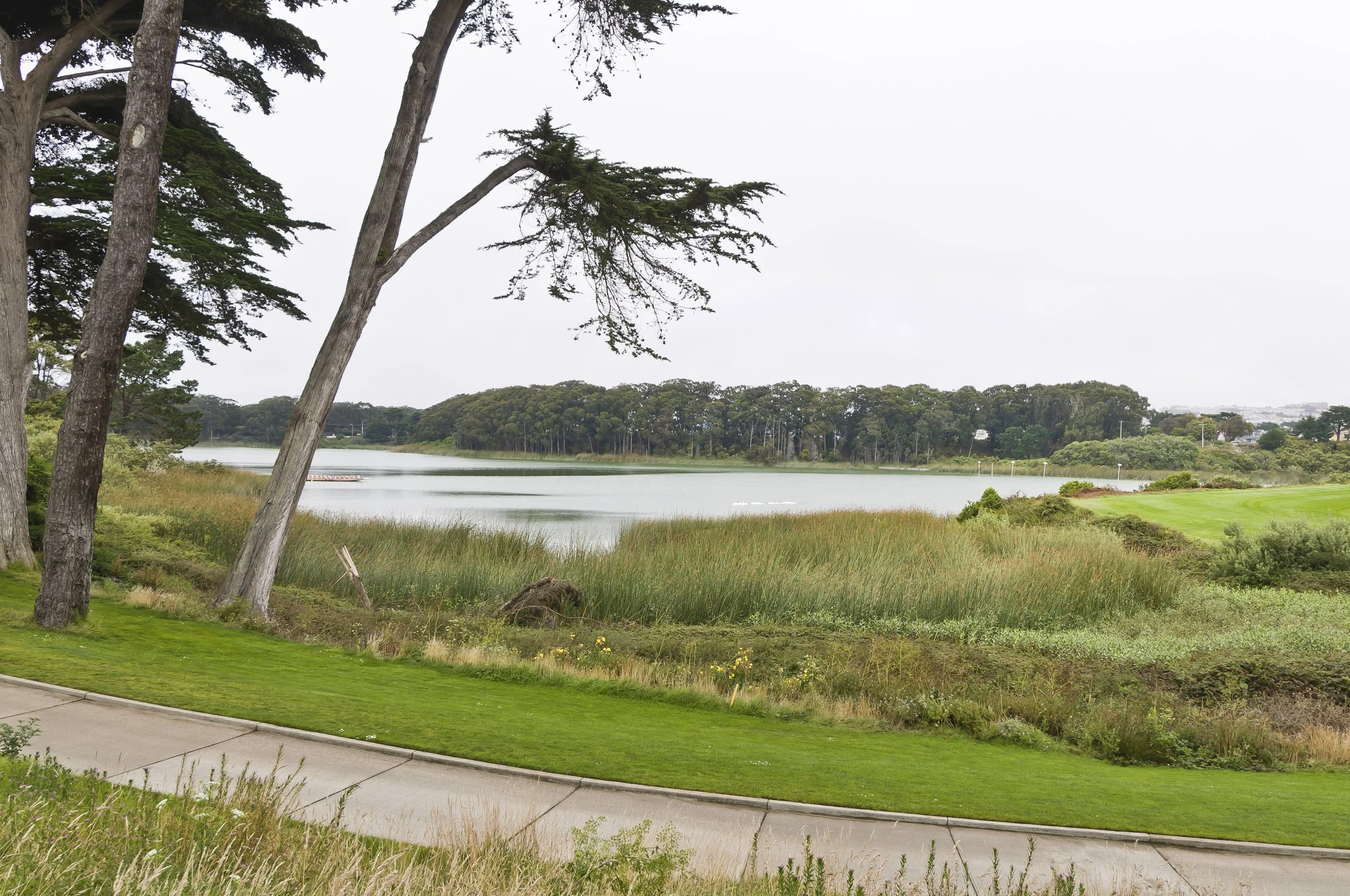 A serene landscape with tall trees near a body of water, grassy areas, and a small path in the foreground.