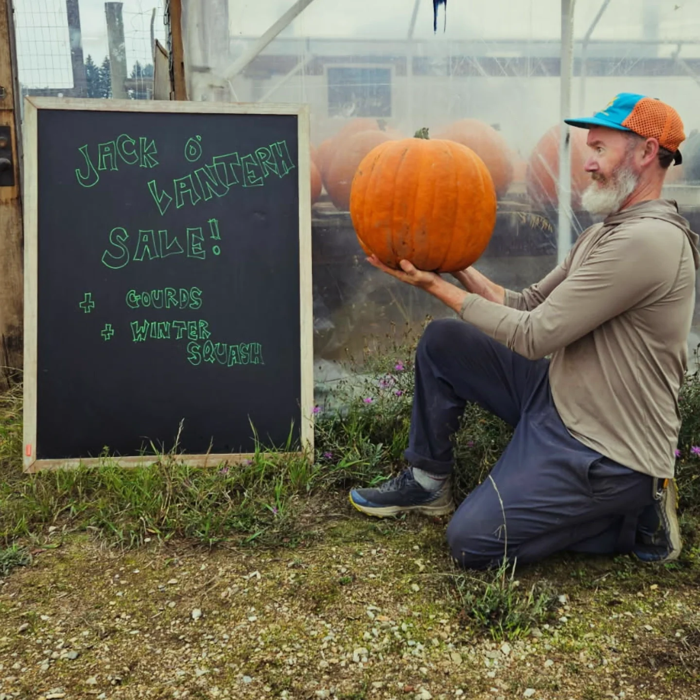 A person kneeling next to a black chalkboard holding an orange pumpkin.