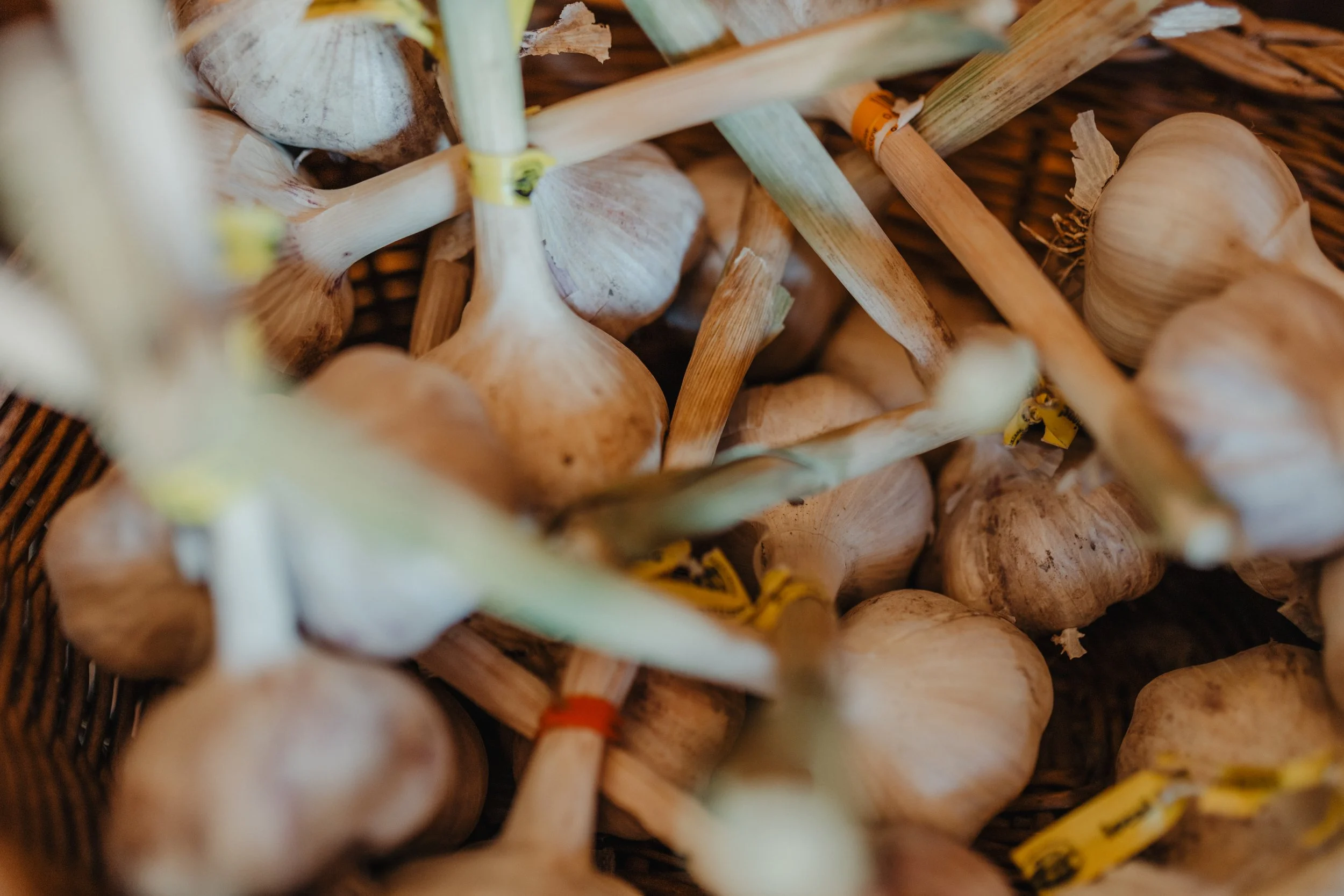 A basket of bunched garlic