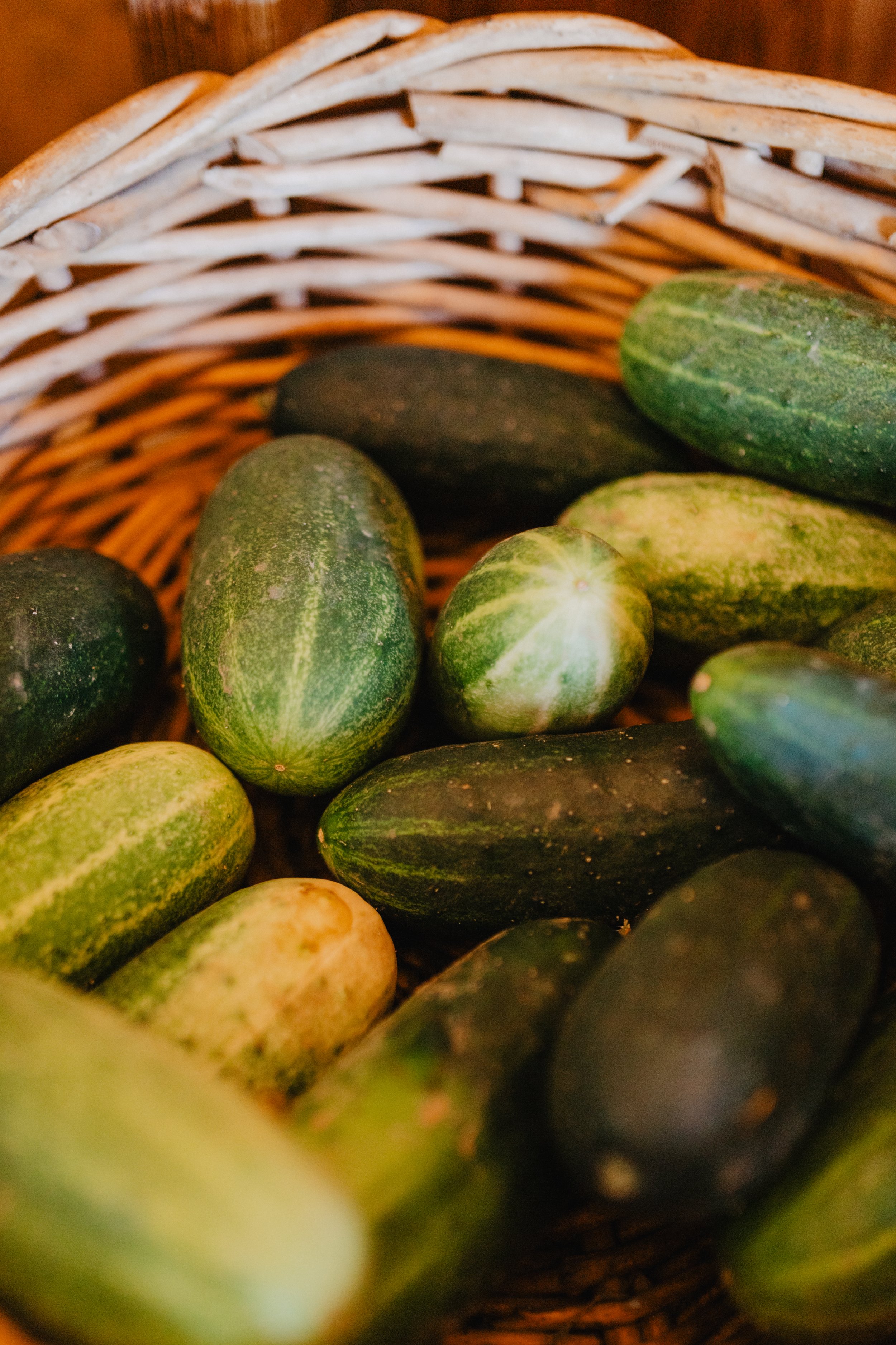 A basket of small pickling cucumbers