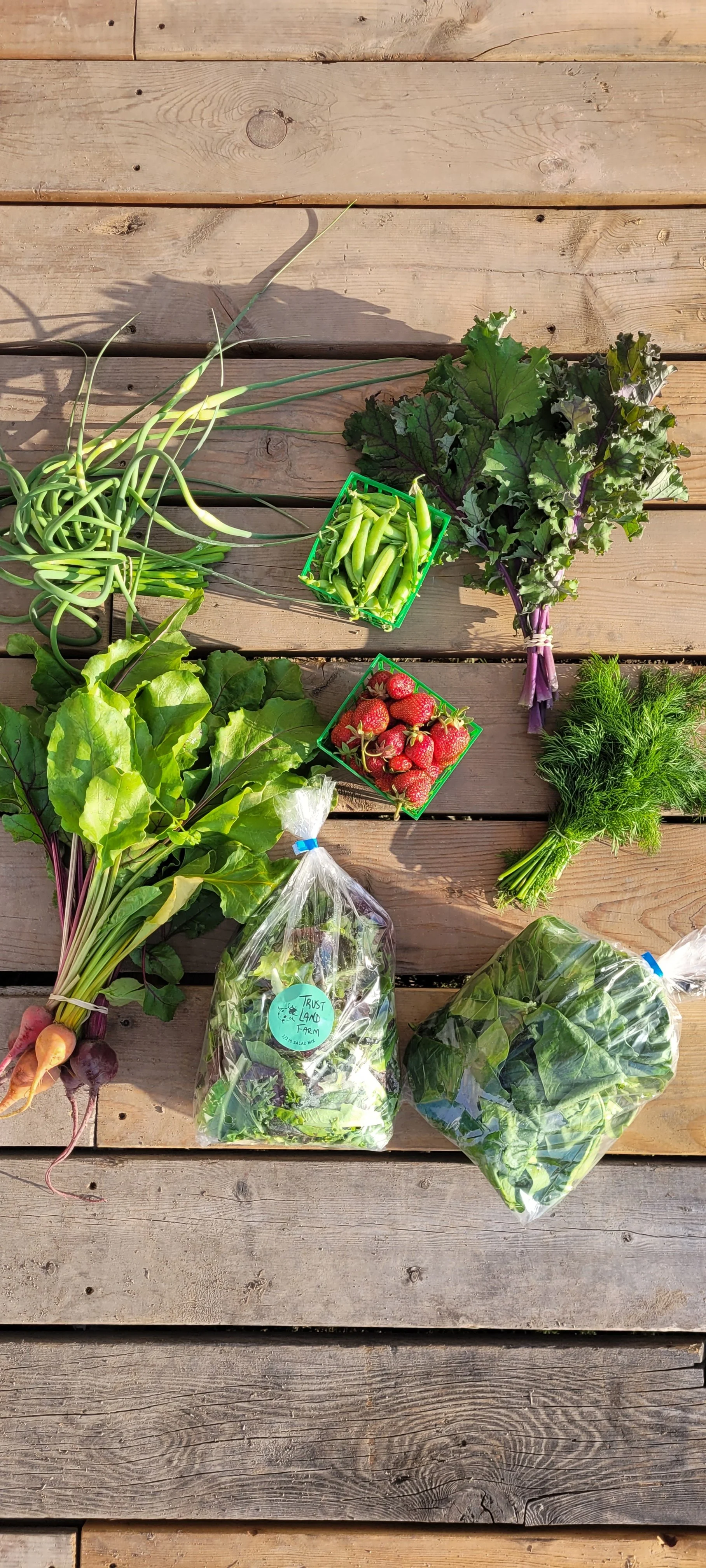 Full Season CSA Share • 20 Weeks