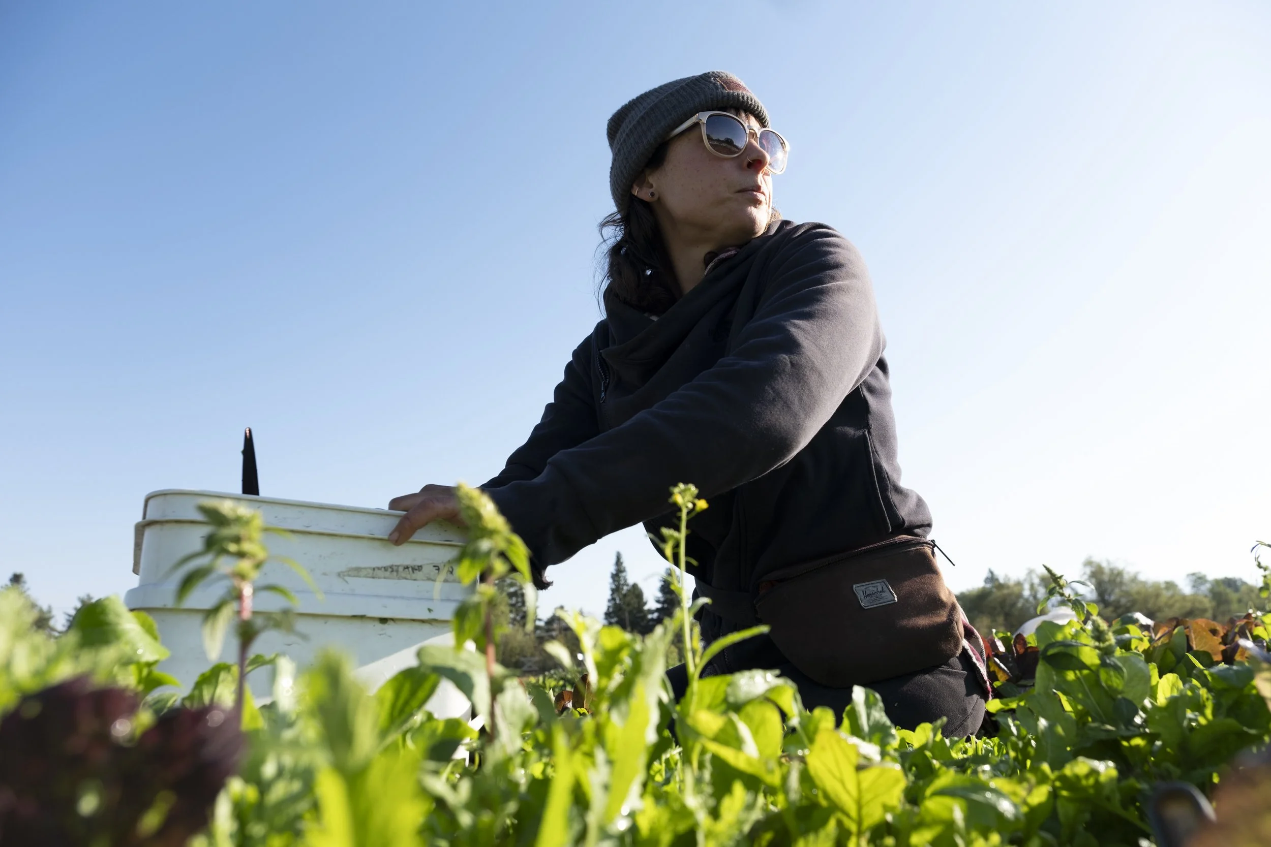 A person kneeling in a farm field wearing a hat and sunglasses