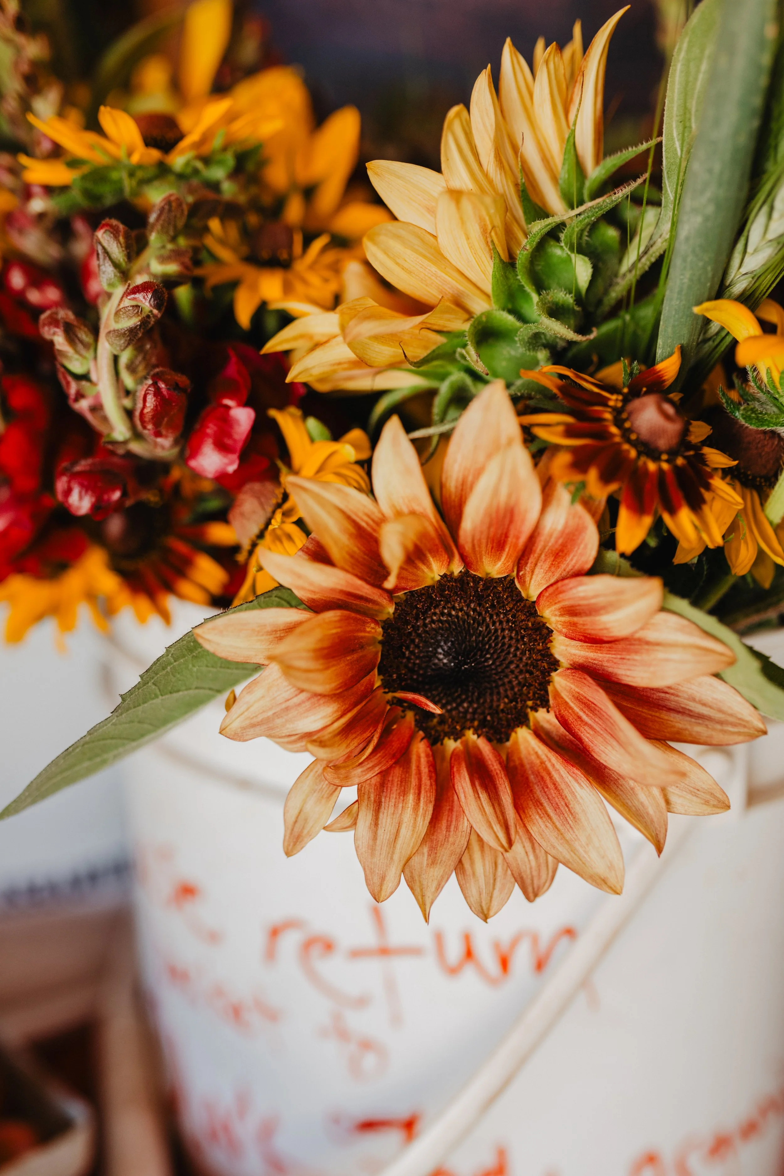 Fresh cut flowers in a bucket