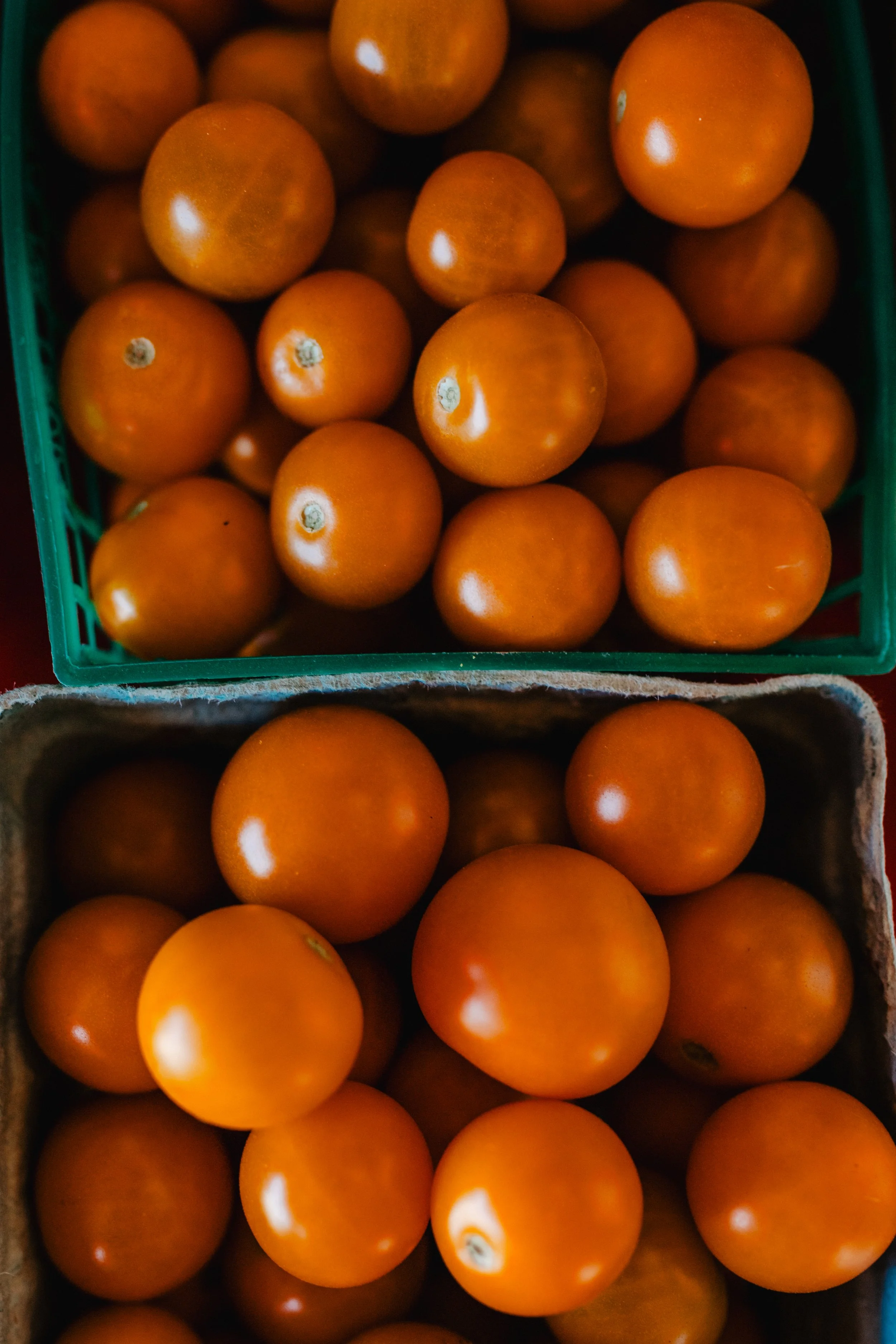 Two pints of red cherry tomatoes