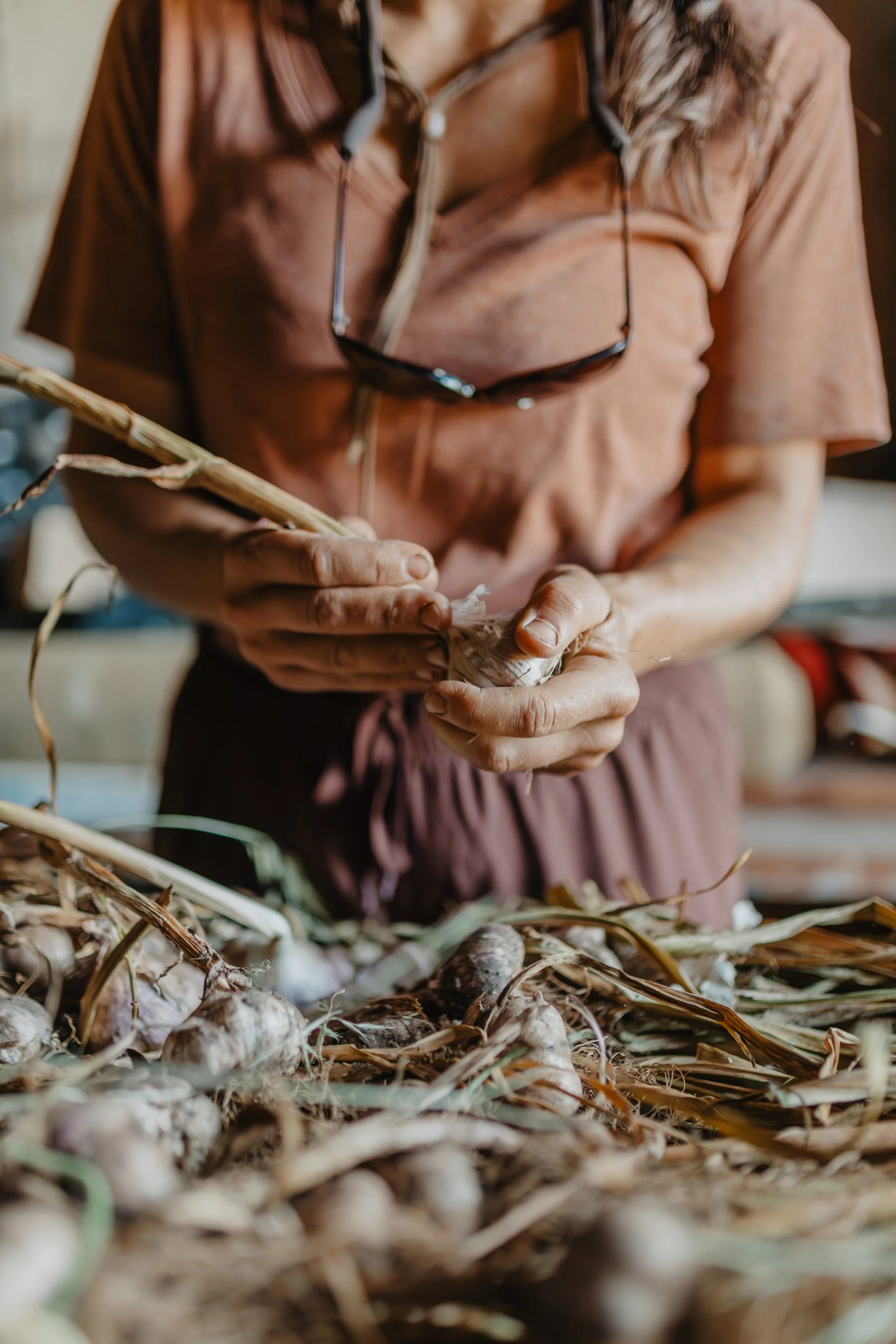 A close-up of a person's hands cleaning garlic from the field