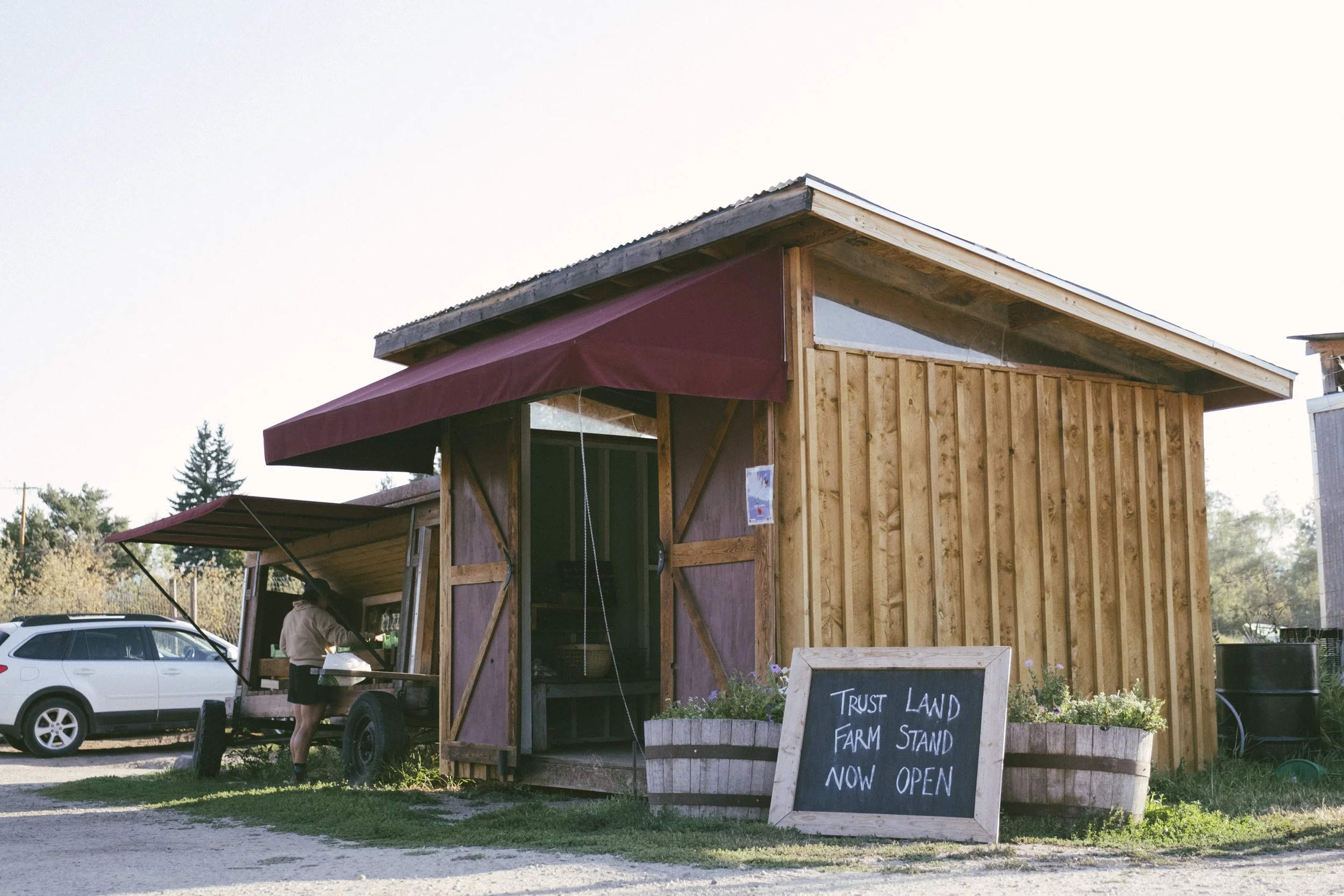 A wooden farm stand with a chalkboard sign that says "Trust Land Farm Stand Now Open"