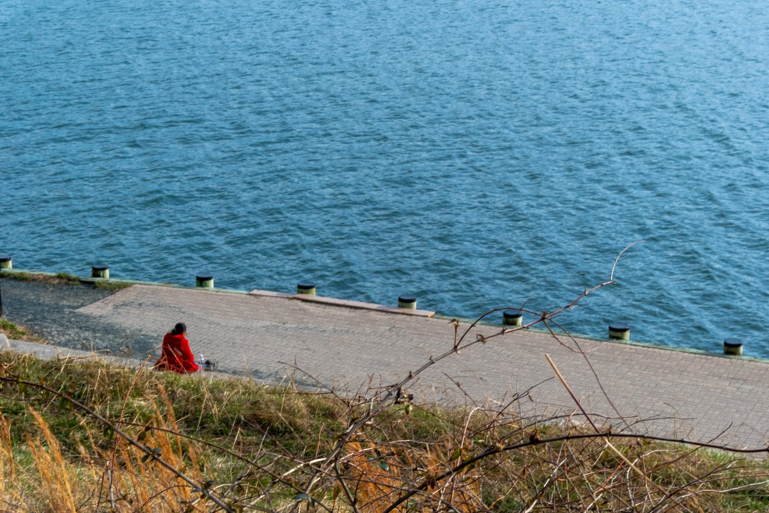 ALONE AT CHESAPEAKE BAY