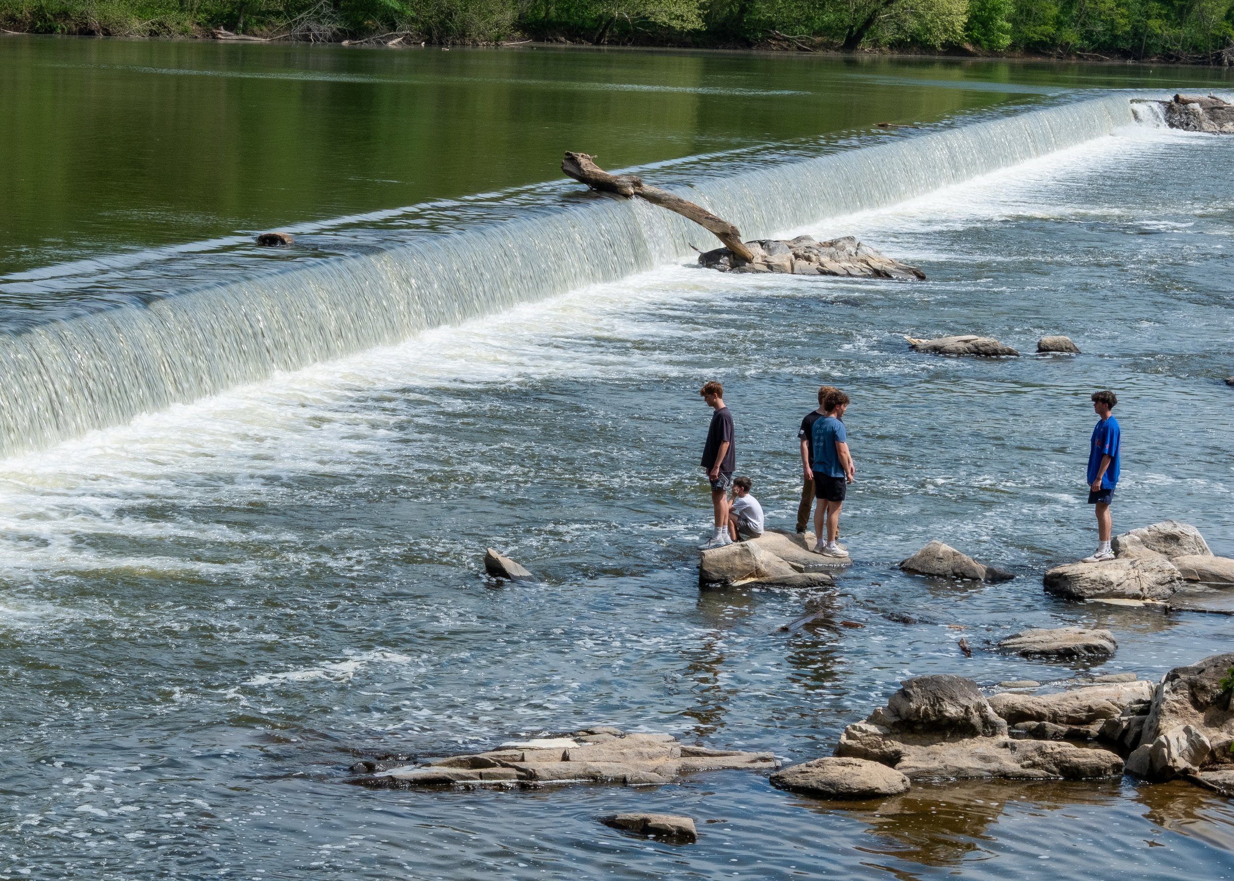 STEPPING STONES AT POTOMAC