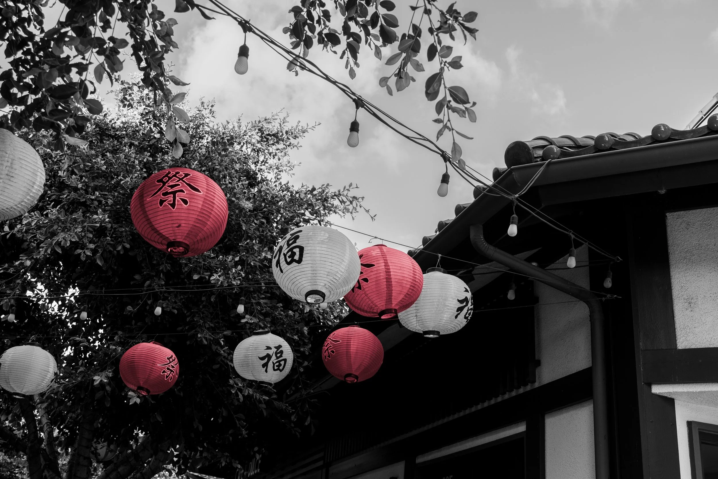 LANTERNS IN LITTLE TOKYO