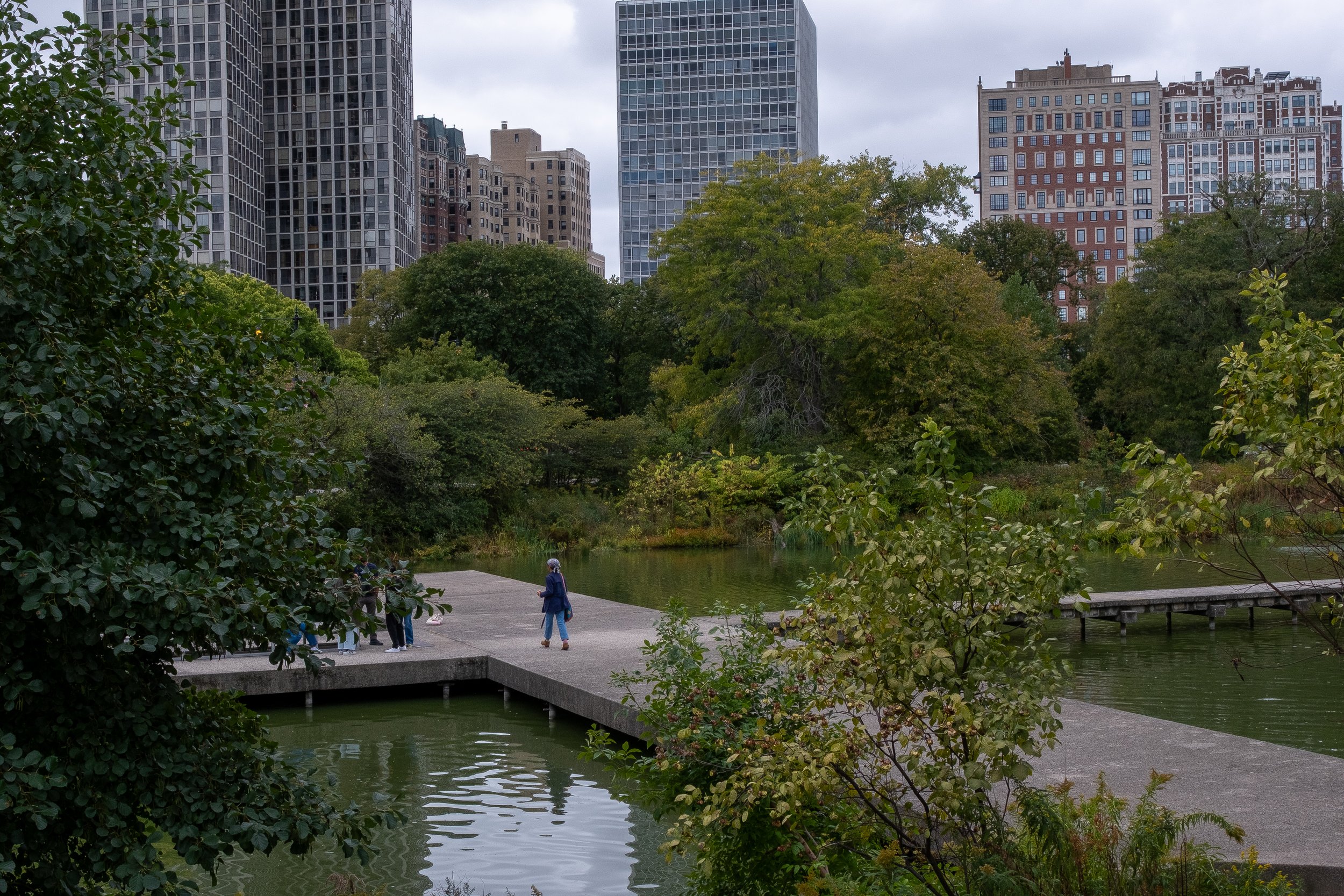 CHICAGO NATURE MUSEUM POND