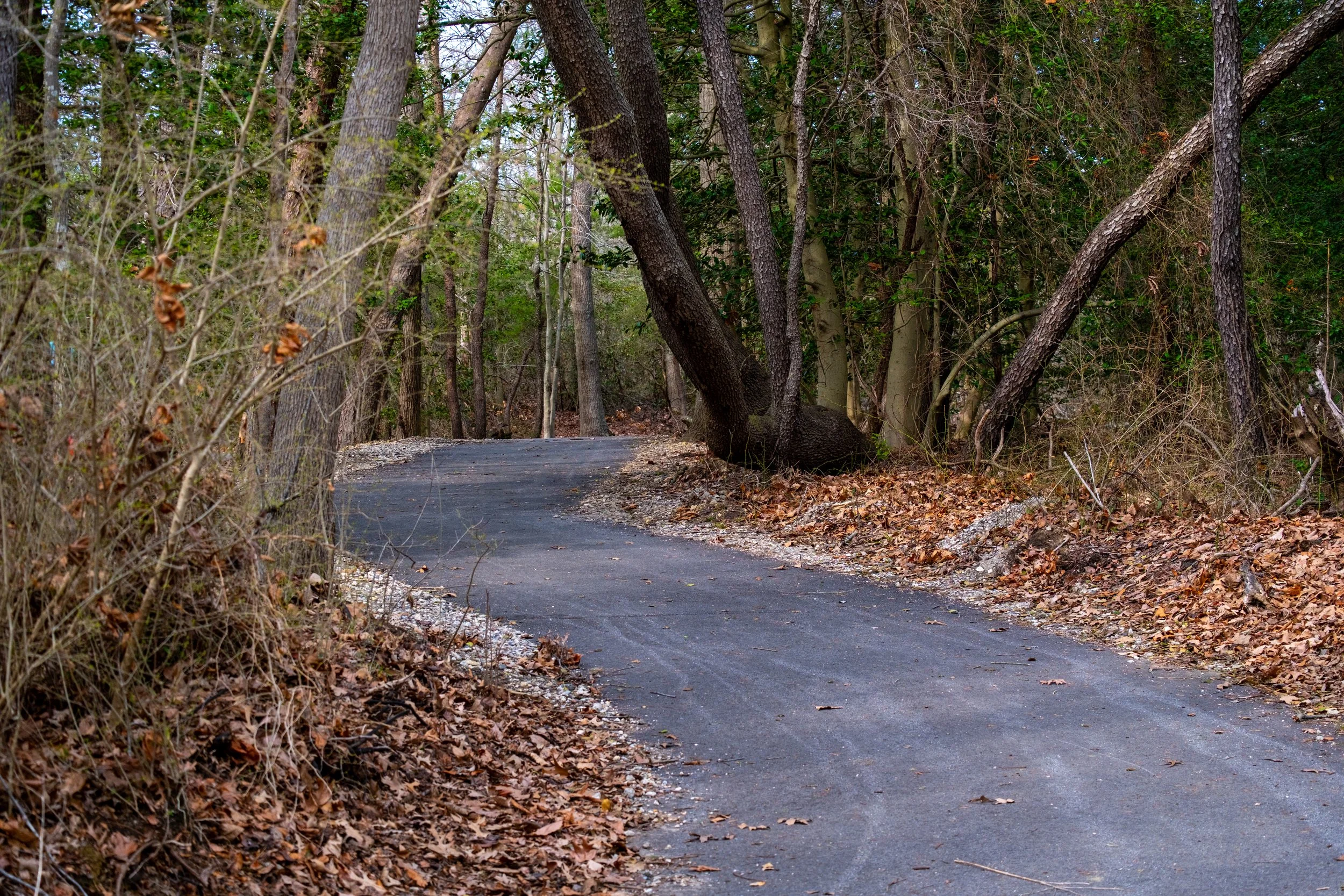 TRAIL AT QUIET WATERS