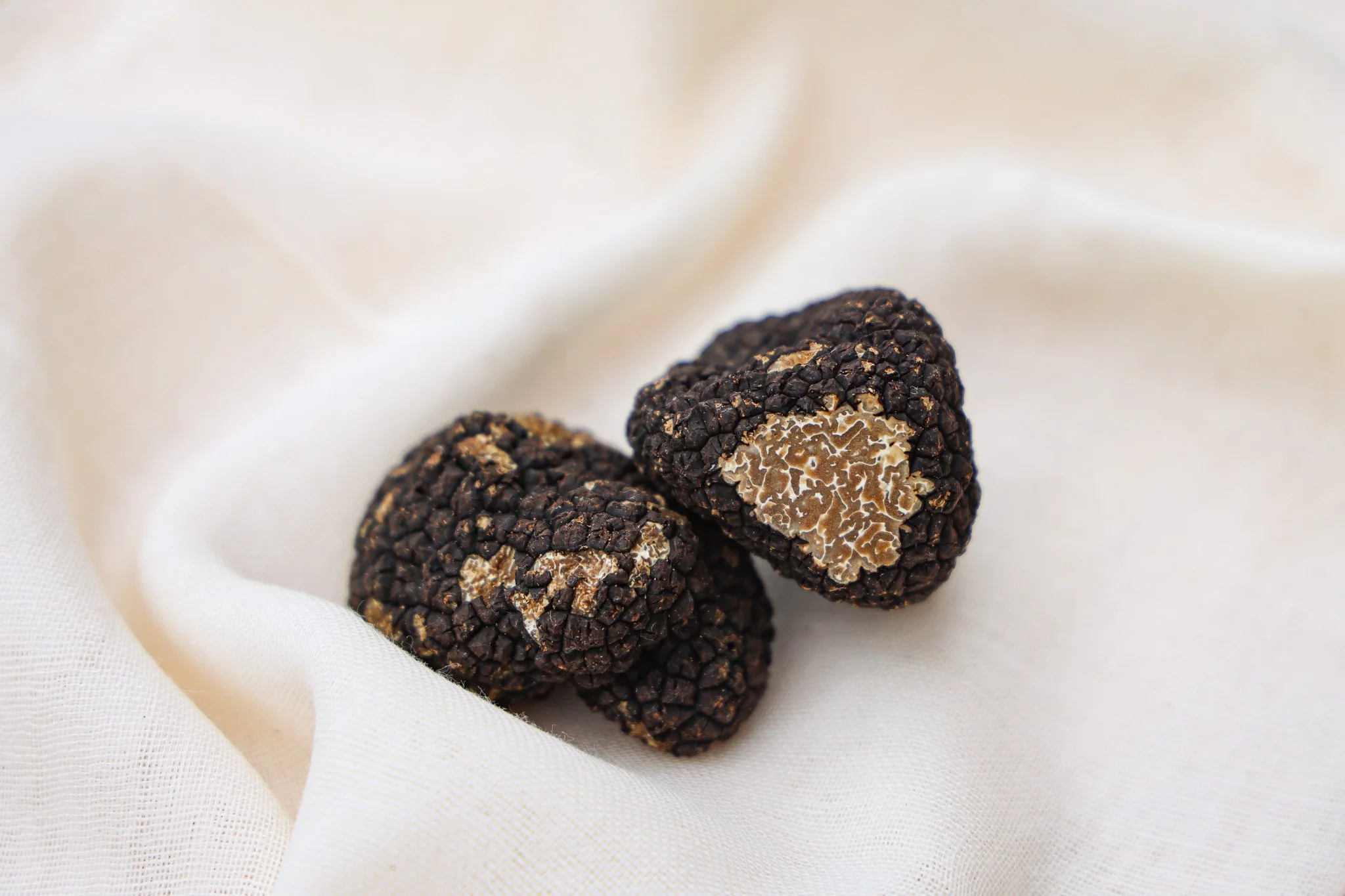 Truffle-Pizza-04.jpg