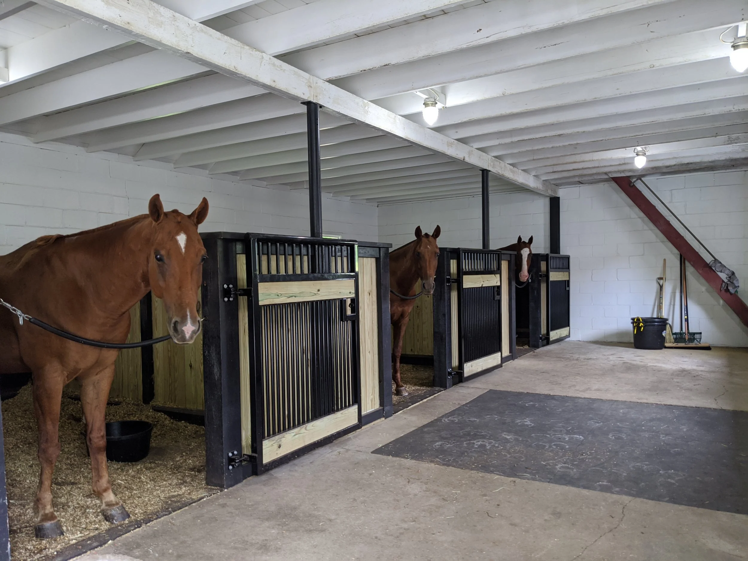 2020-08-02 18.06.49.jpg