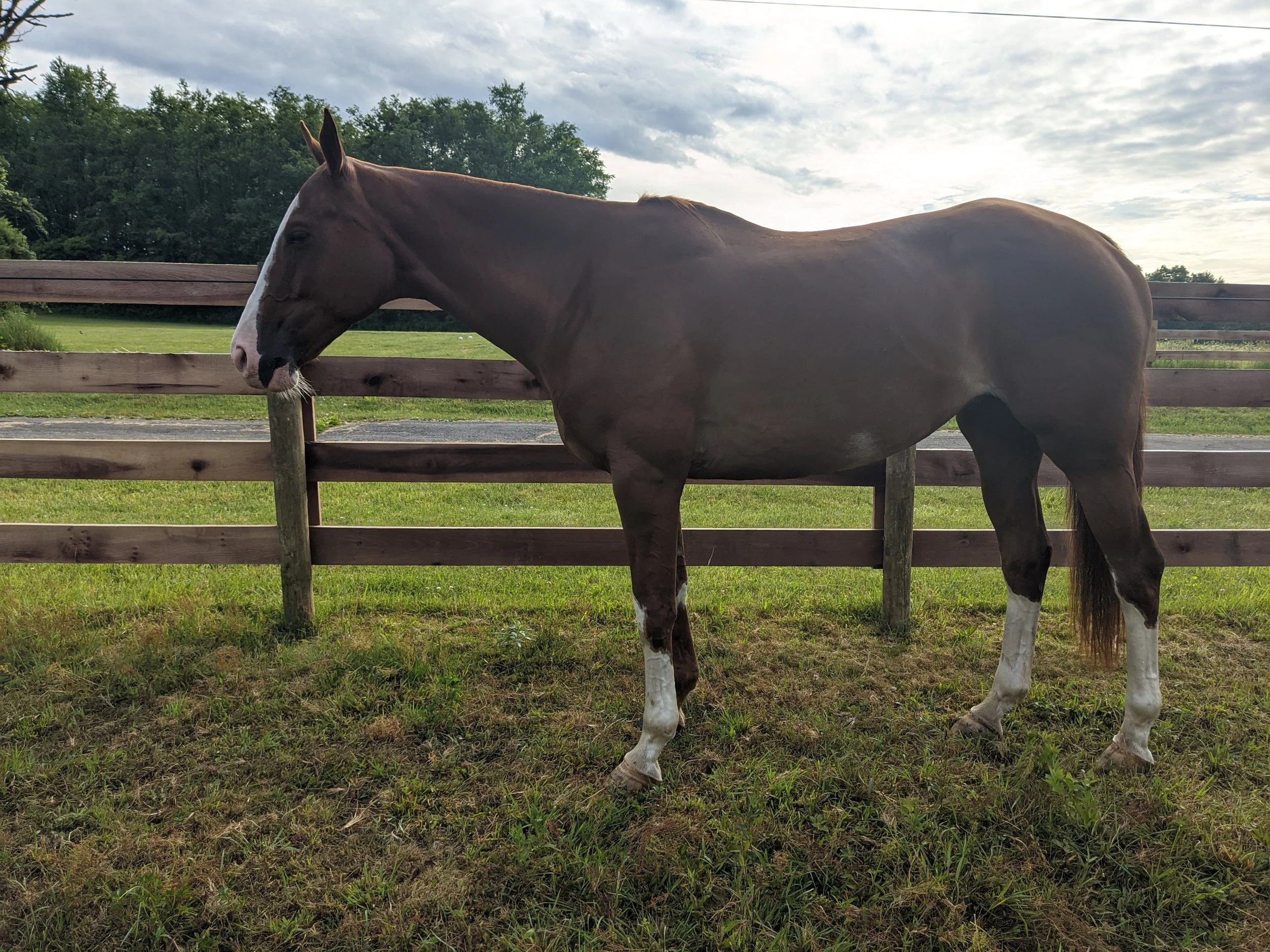 2020-06-19 08.21.04.jpg