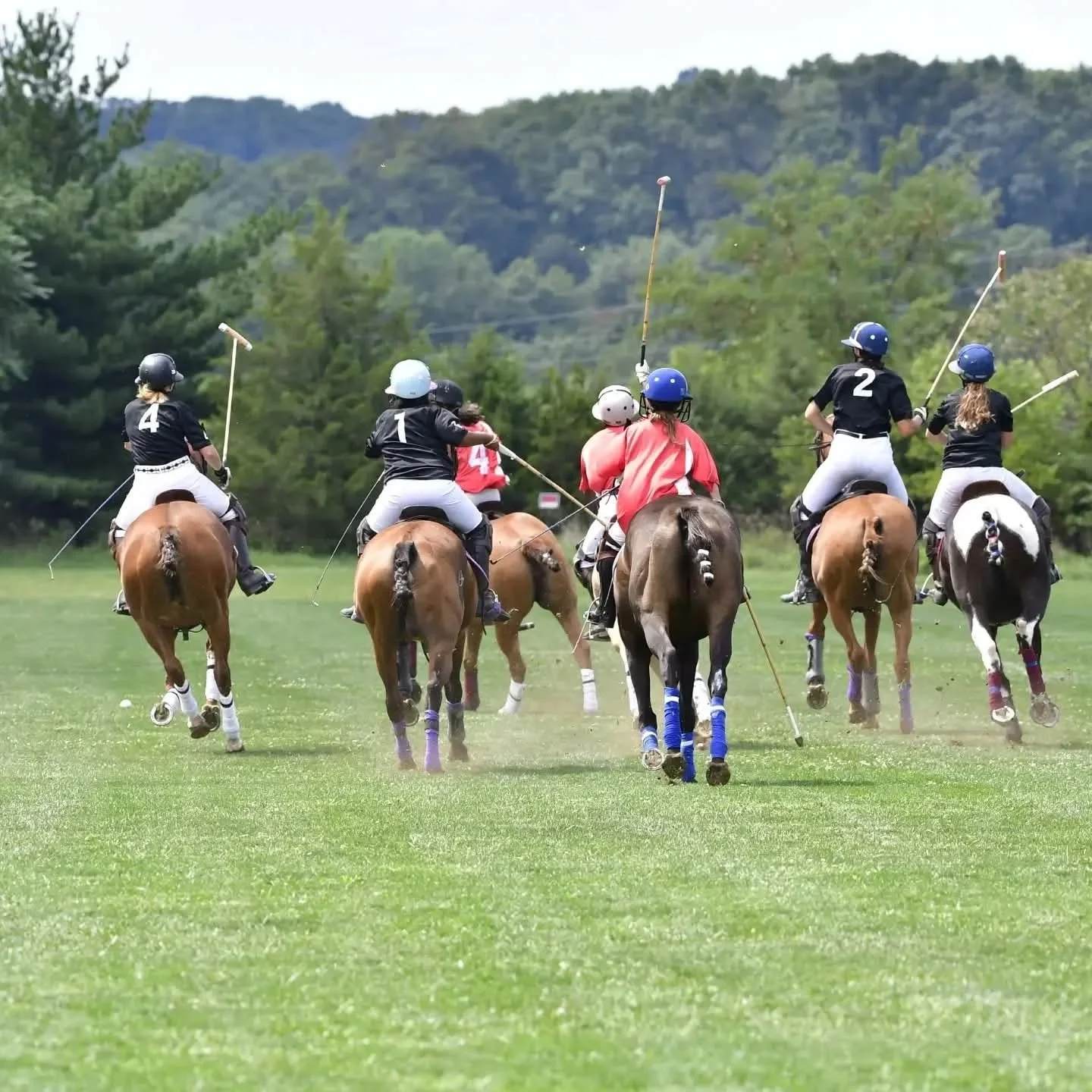 We are hiring for the summer '26 season!

Looking for 1-2 polo grooms 
at our facility outside Pittsburgh Pennsylvania USA

Duration: May-September 2026 (flexible)
Competitive Salary + Housing and Vehicle provided

MUST: Have polo experience, legal a