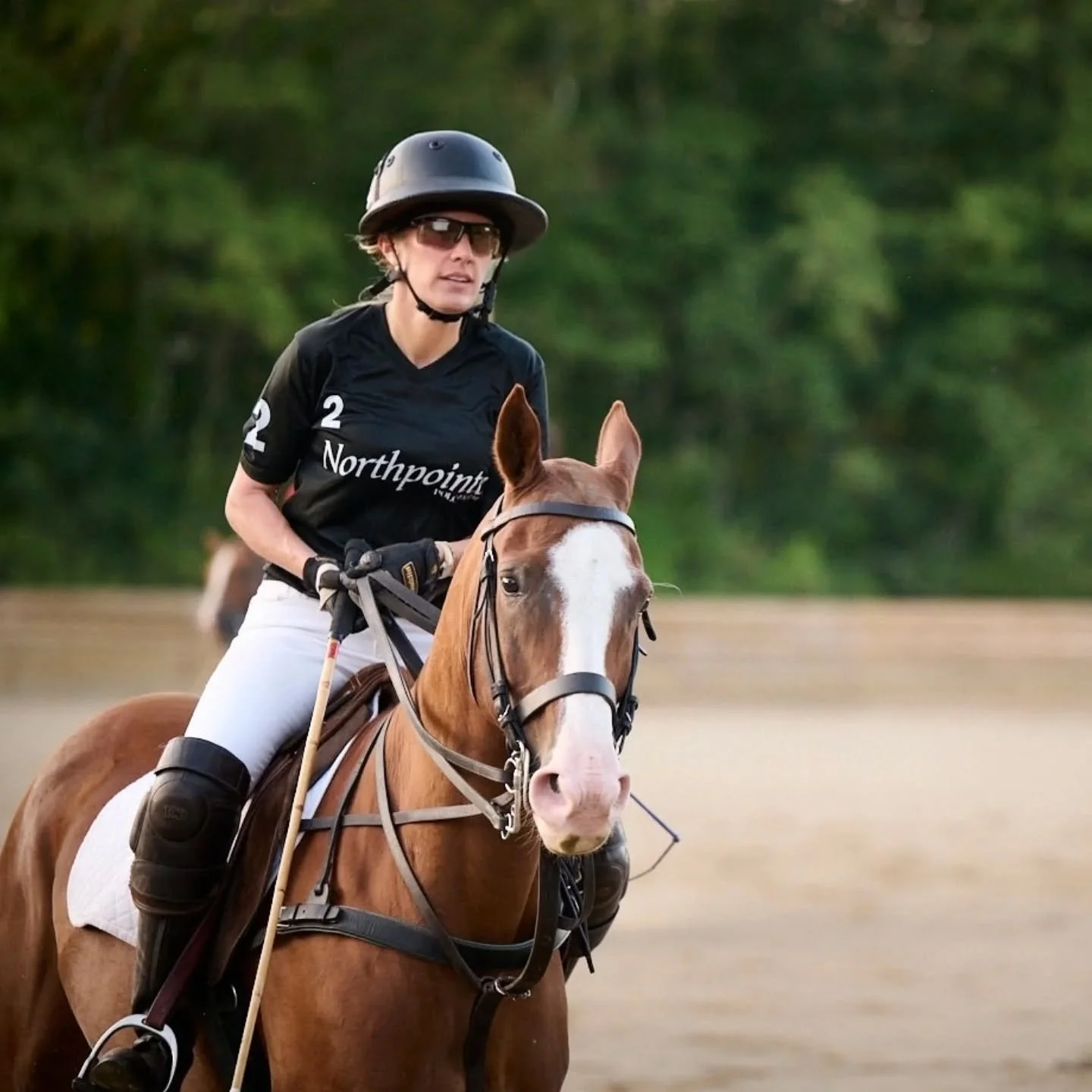 Faro. 💕💕💕 I'll never come across a good shot of this pony and not share it. What a lovable little rockstar 🤘