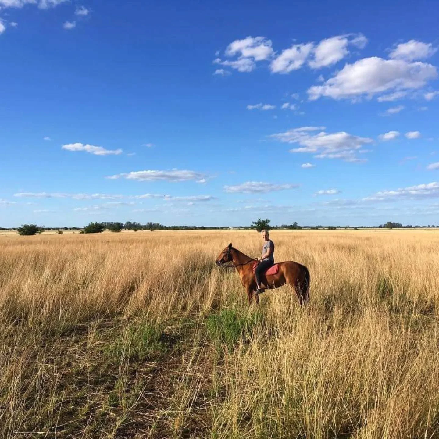 Is polo about making great plays and scoring goals? Sure! But it's just as much about building relationships with your ponies and getting out to enjoy the world with them. Like bareback hacks on your best friend in Argentina. Good memories of sunny d