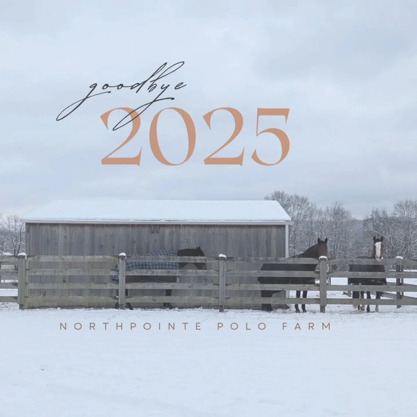 As the year ends, we reflect on a 2025 shaped by the pursuit of excellence - both on and off the polo field. Wishing all our friends a successful year ahead. Bring on 2026!