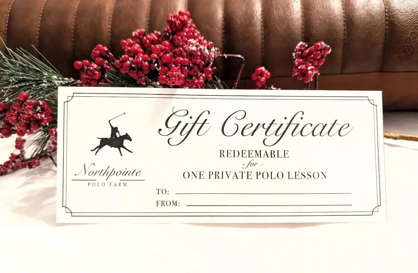 The holidays are officially here! Once again we're offering a BLACK FRIDAY SALE! $50 for a private lesson (normally $150) to be booked in our 2026 season. Email info@northpointepolo or text 412-444-8614 to give someone the gift of polo 🎁🐴🎄. No hor