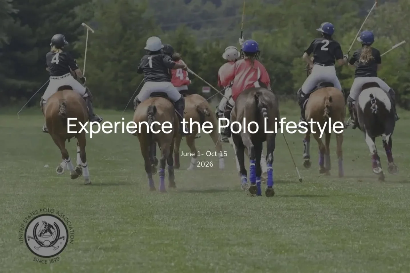 New season, new vibes! Our new website is live today. We have a bunch of exciting announcements to make over the coming days. Take a peek at the site to guess what they may be! www.northpointepolo.com (link in bio)