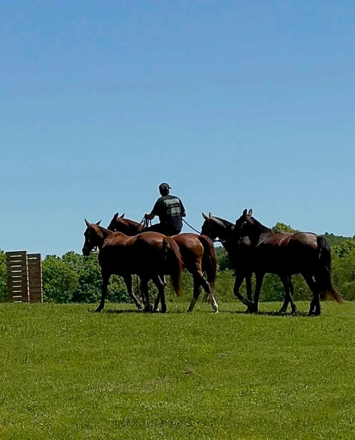 As the rest of us recovered from the asado, the ponies took their first sets with Jeronimo bright and early this morning. No rest for the weary, it's polo season!! 🤘