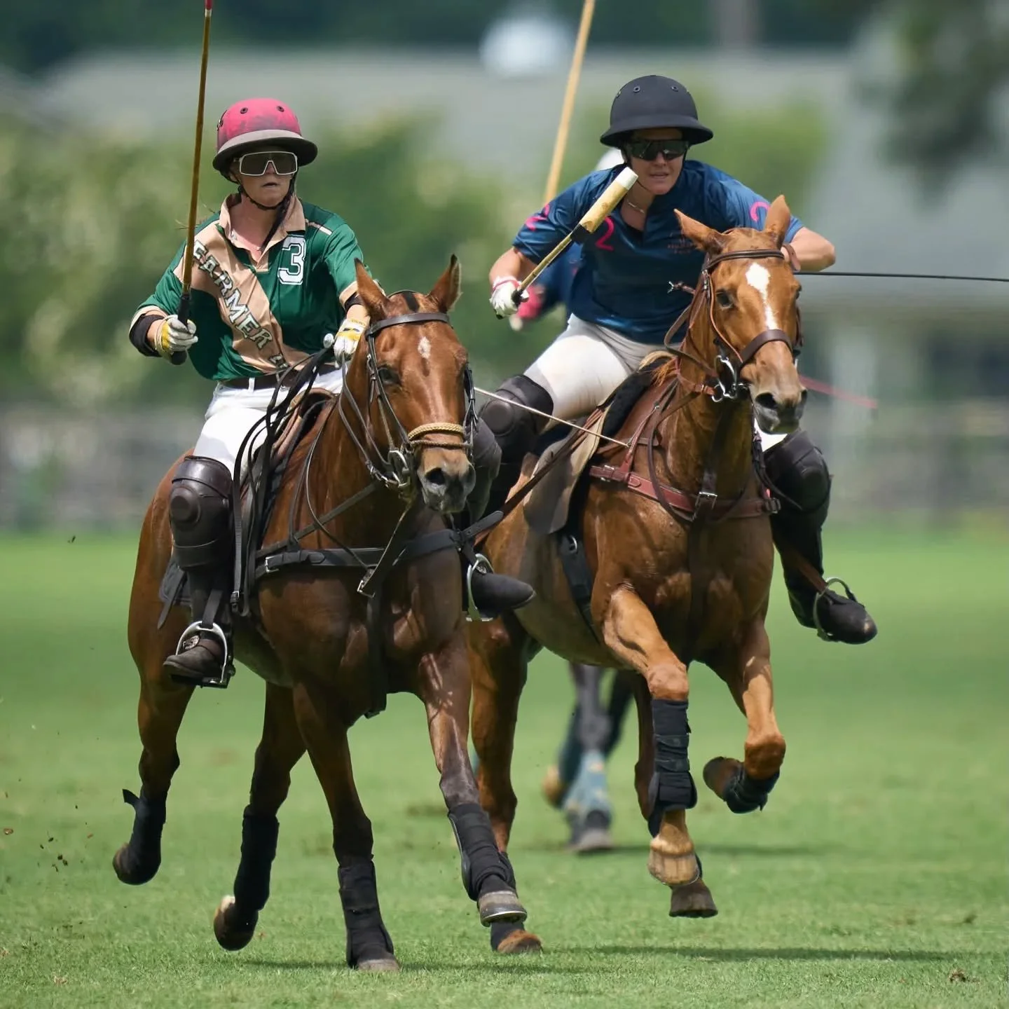 Jill and her ponies have returned from beginning their season in Aiken! From her start in the NP polo school just 2 seasons ago to women's 12 goal this spring, she's on 🔥