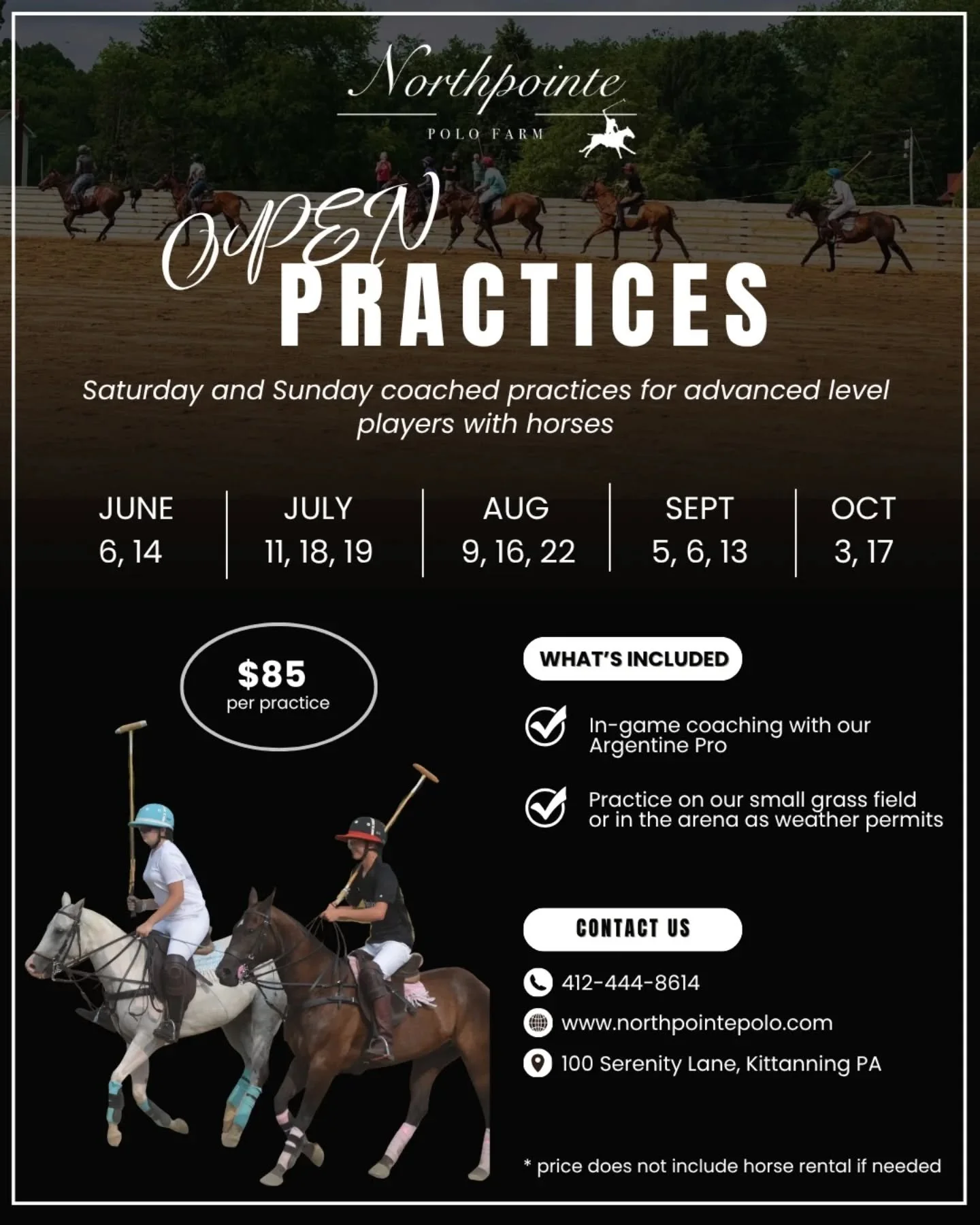 Come play with us! We practice every Saturday and Sunday at 11am on our small grass field or in the arena as the weather dictates. No membership fee this year, just pay an $85 per practice greens/coaching fee and you're in! 

*fee does not include ho