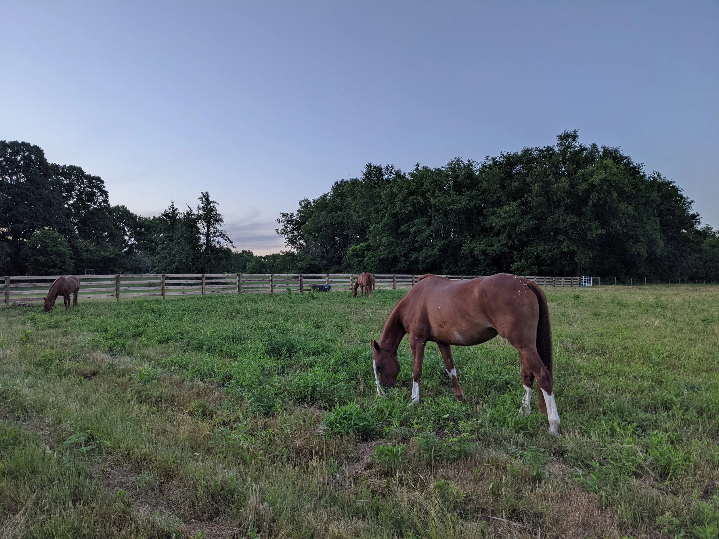 2020-07-14 20.52.55.jpg