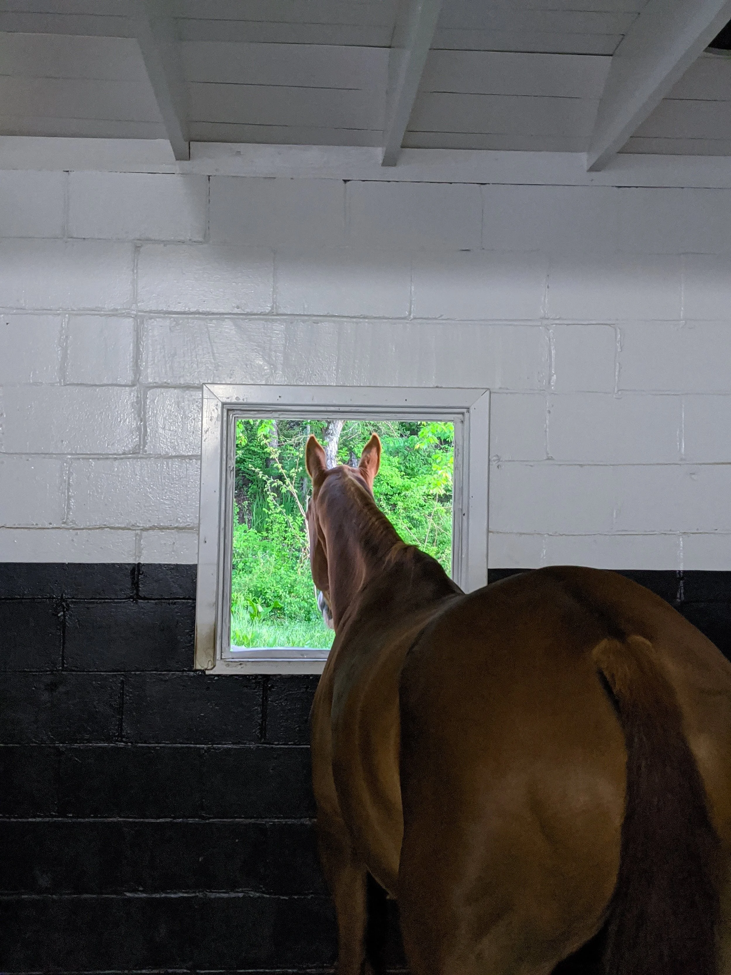 2020-05-24 05.55.26.jpg