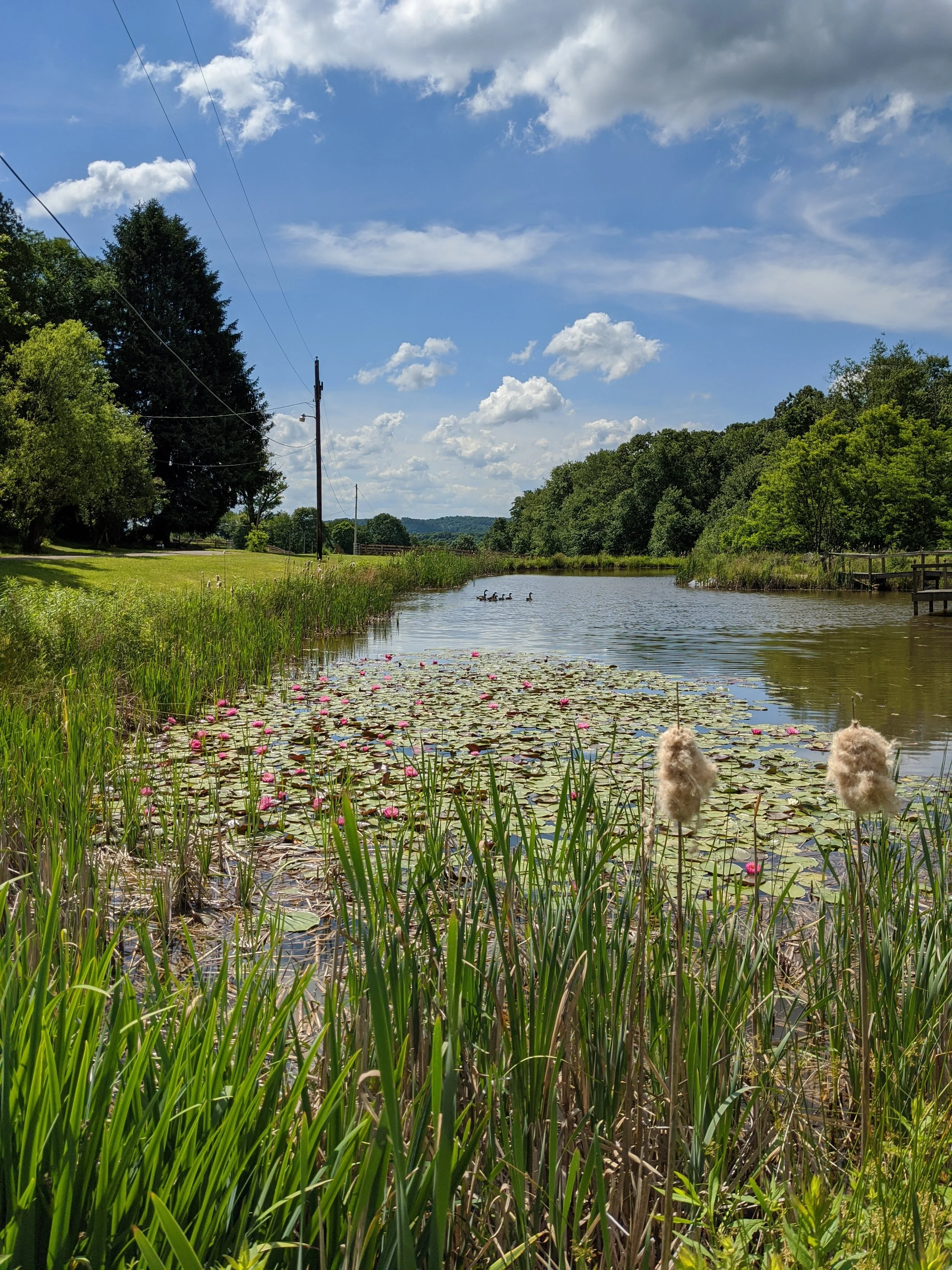 2020-06-16 11.08.16.jpg