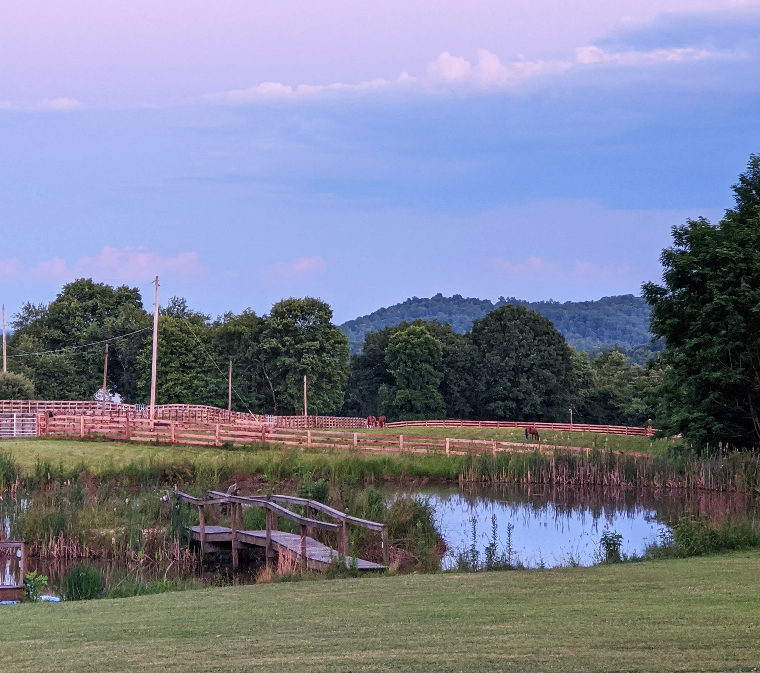 2020-06-30 21.03.48.jpg