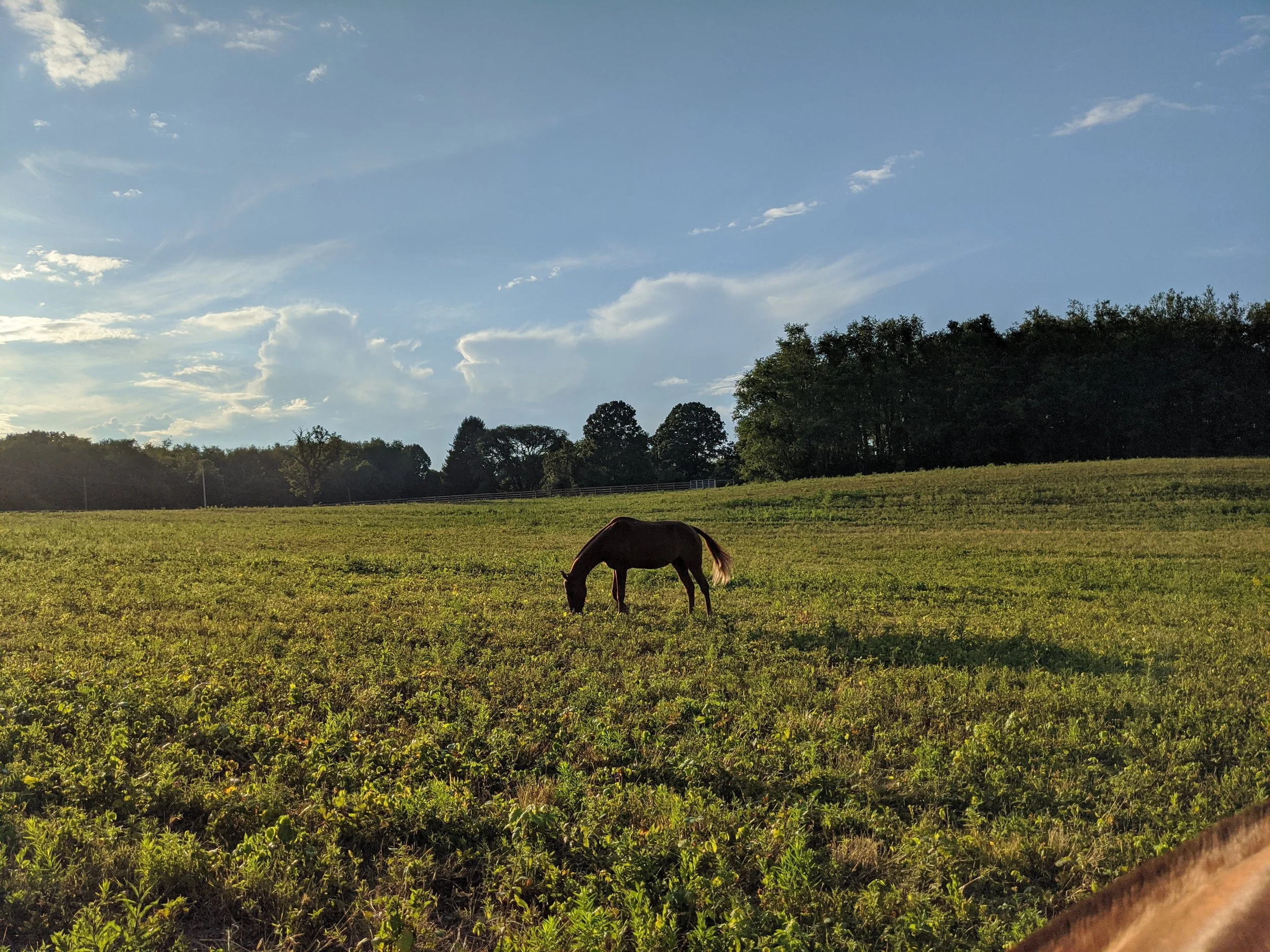 2020-08-23 18.49.20.jpg