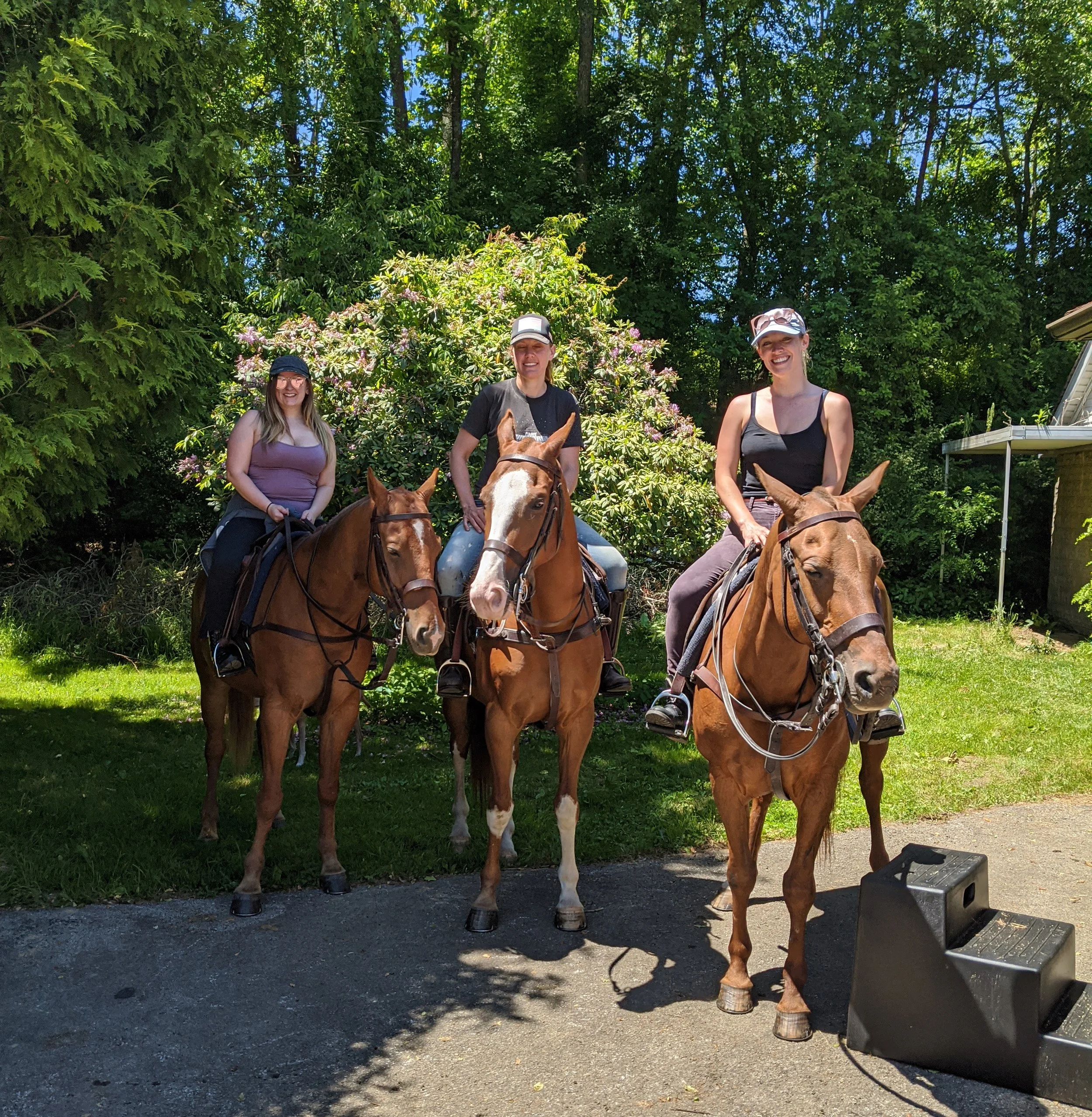 2020-06-08 14.13.21.jpg