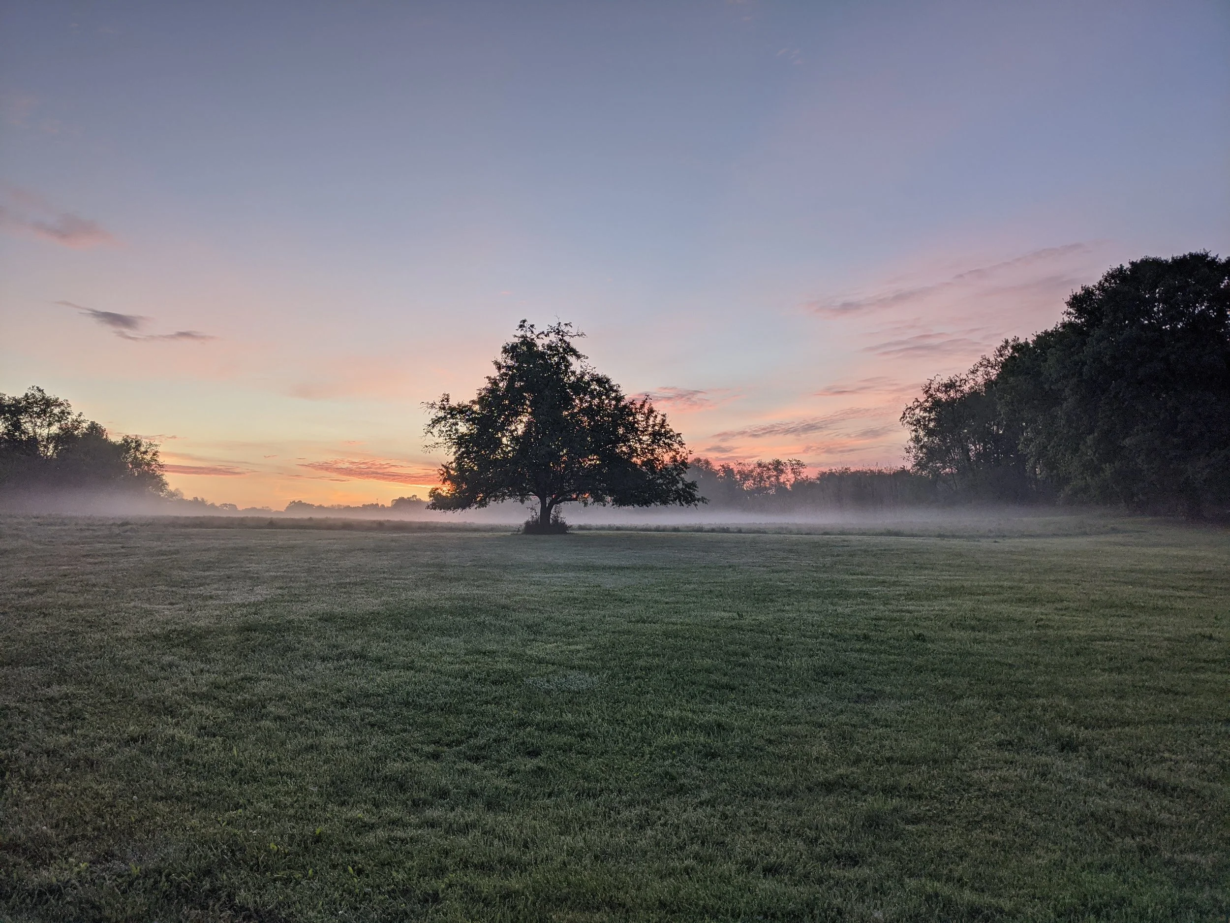 2020-05-24 05.40.46.jpg