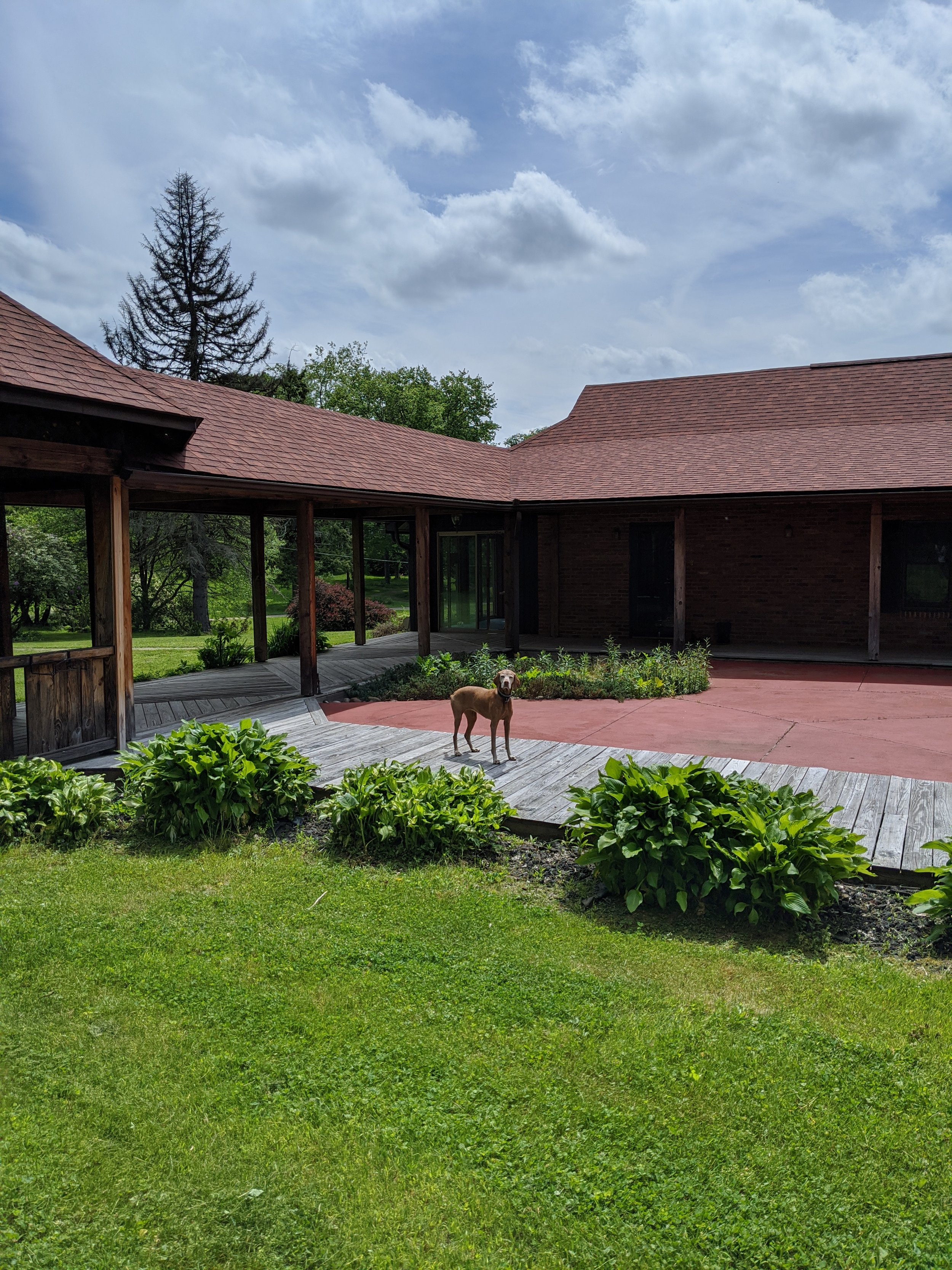 2020-05-27 11.54.26.jpg